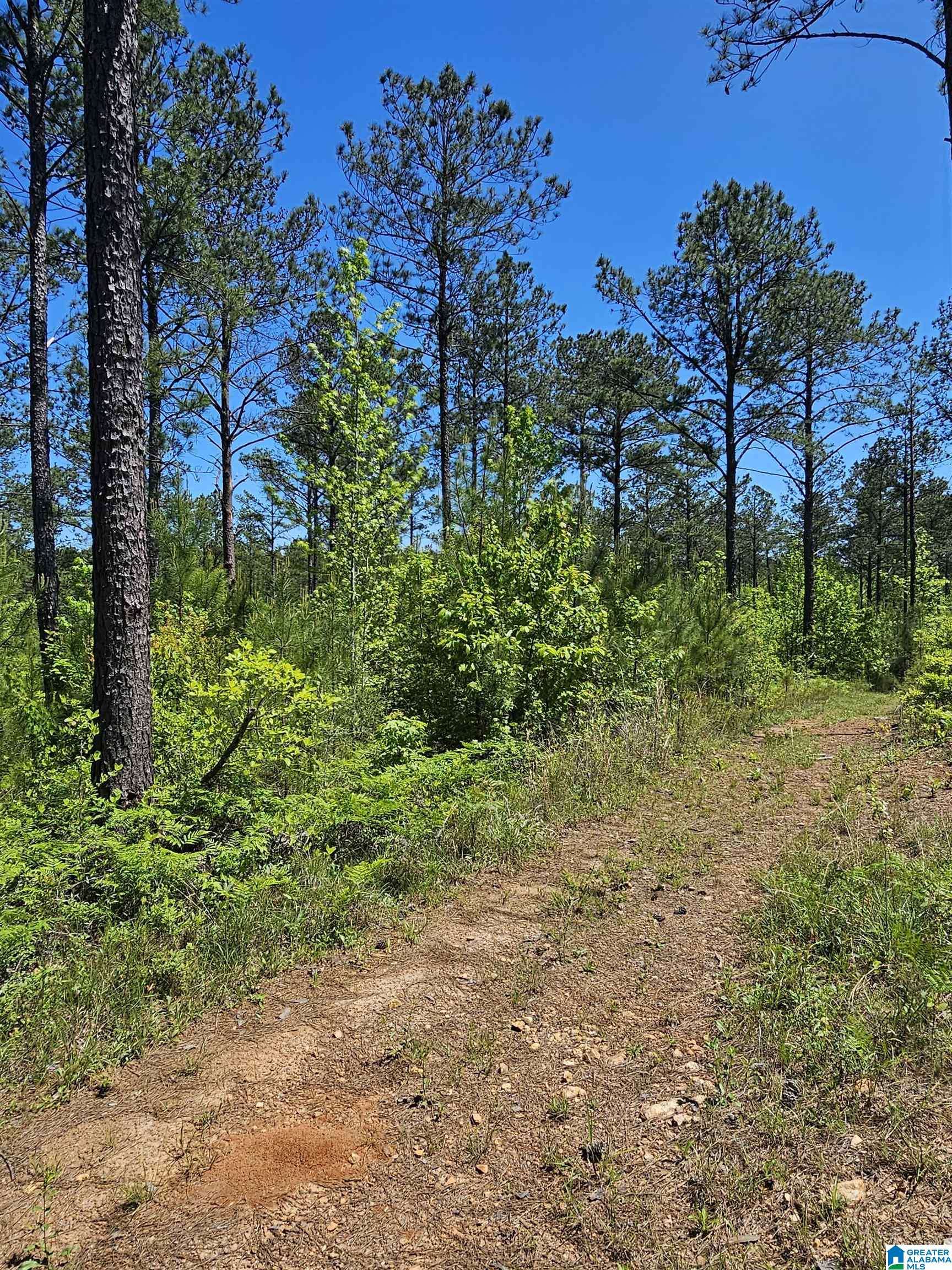 Clanton, AL 35045,0 COUNTY ROAD 454 #1