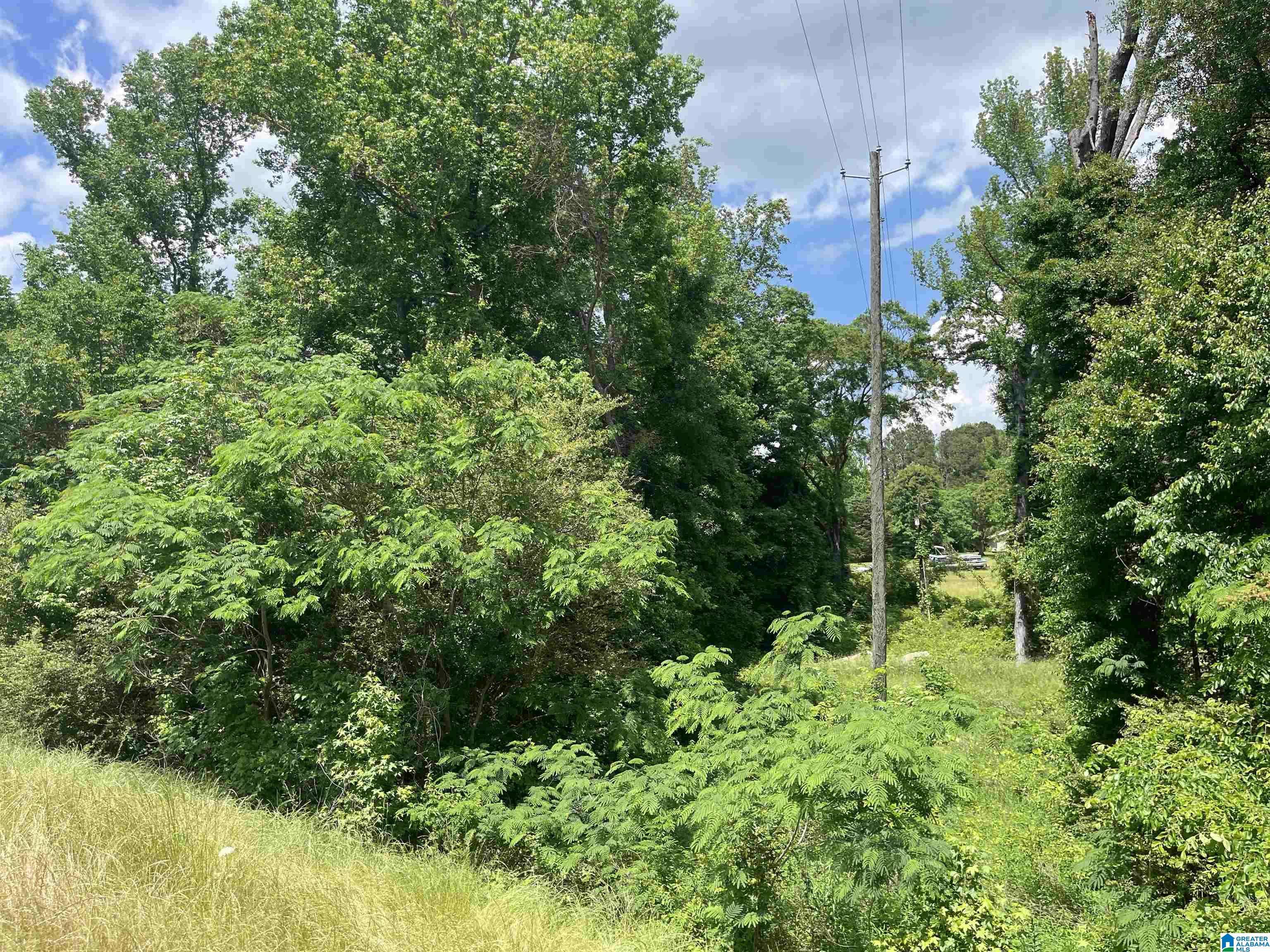Alexander City, AL 35010