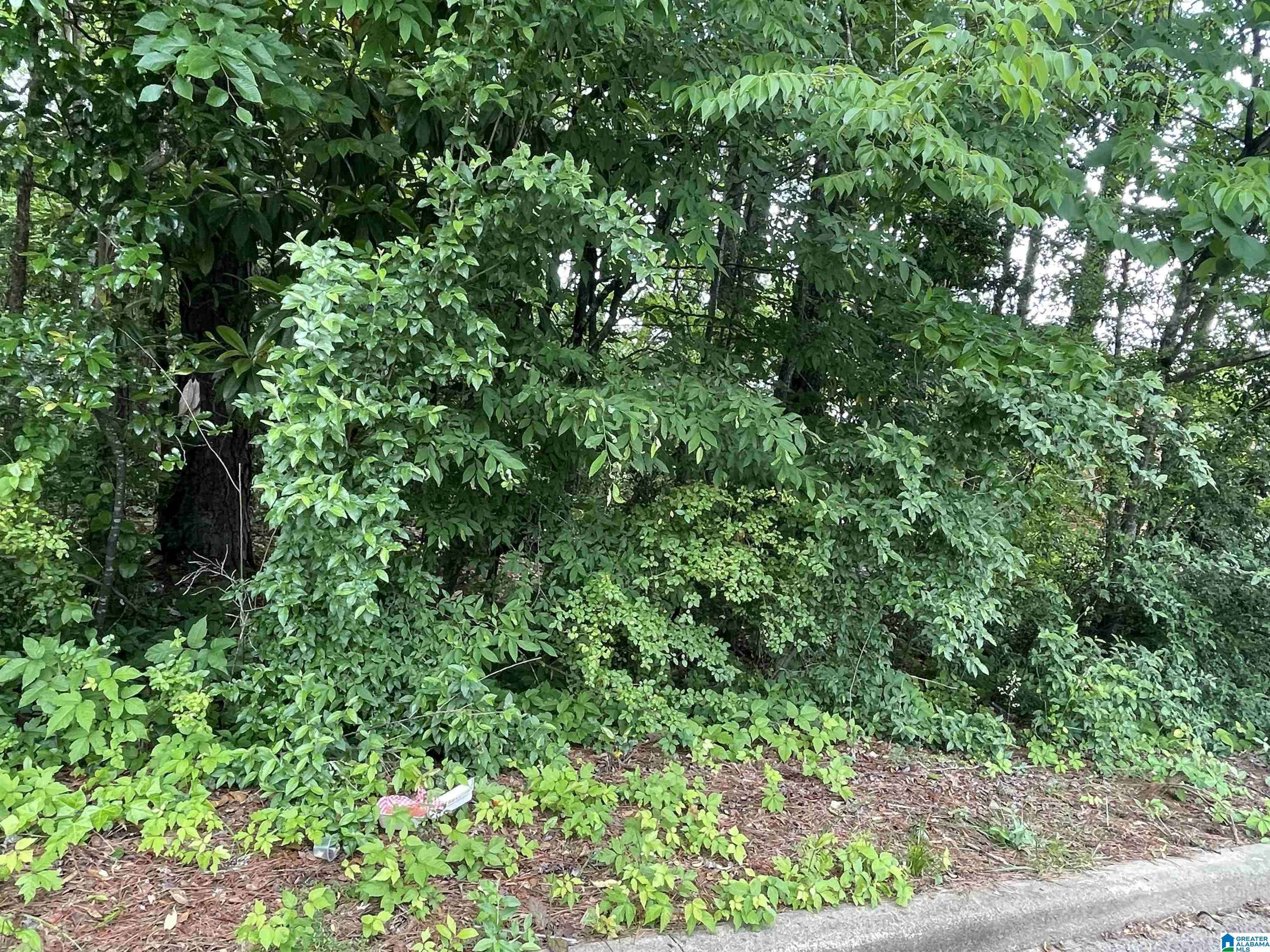 Alexander City, AL 35010