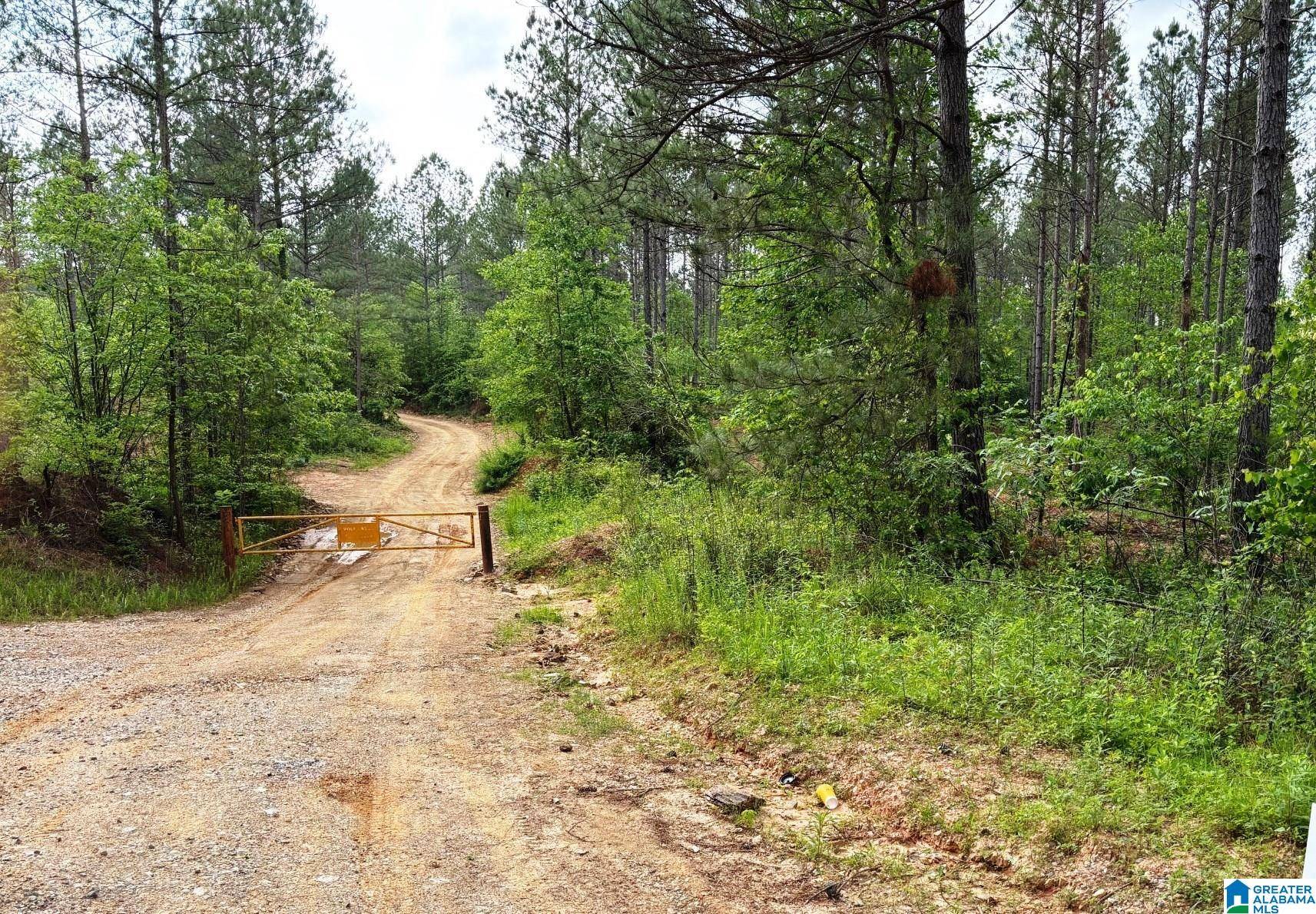 Fruithurst, AL 36262,COUNTY ROAD 295 #89.88