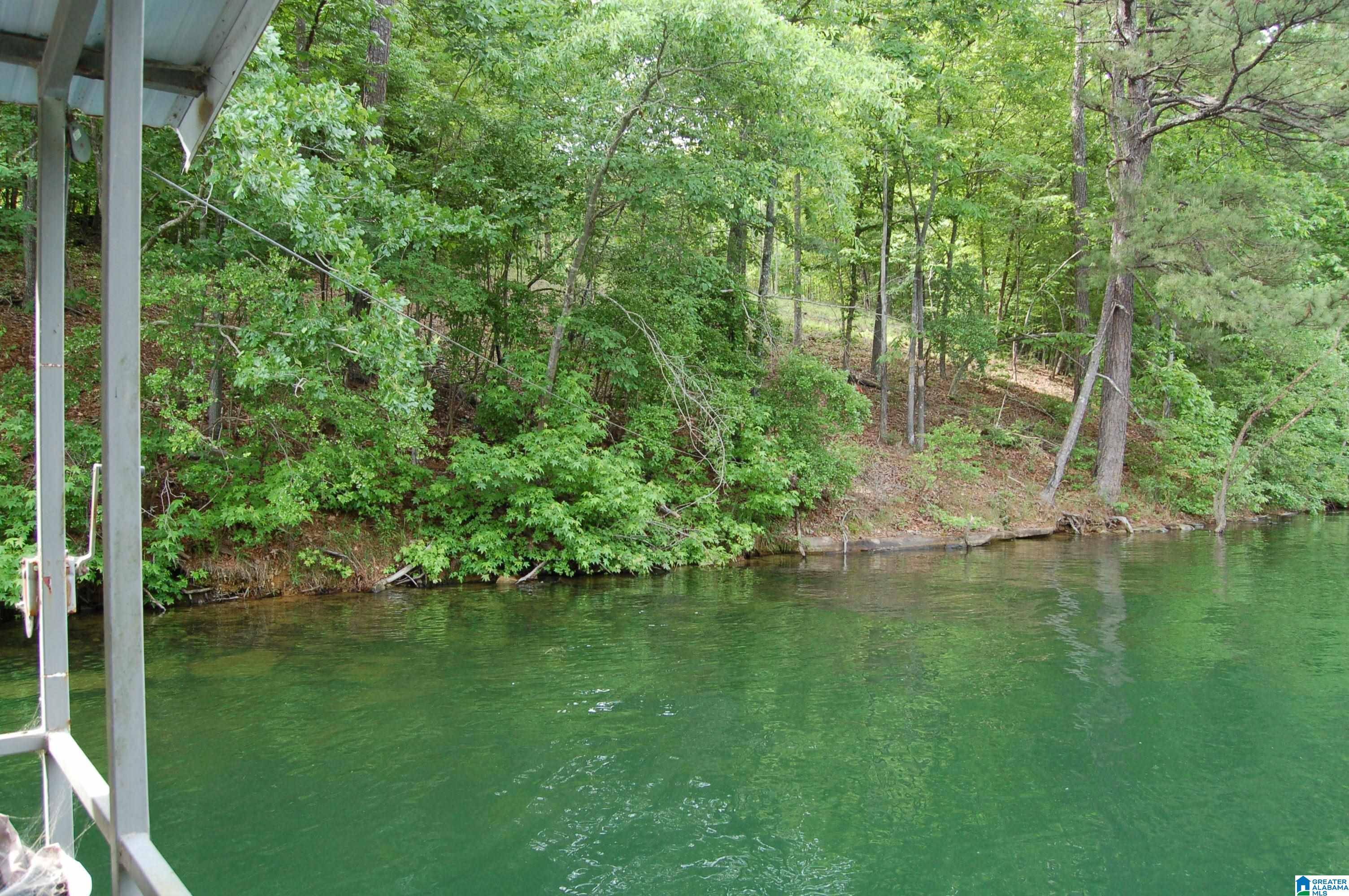 Crane Hill, AL 35053,169 COUNTY ROAD 172 SW #2A & 3A