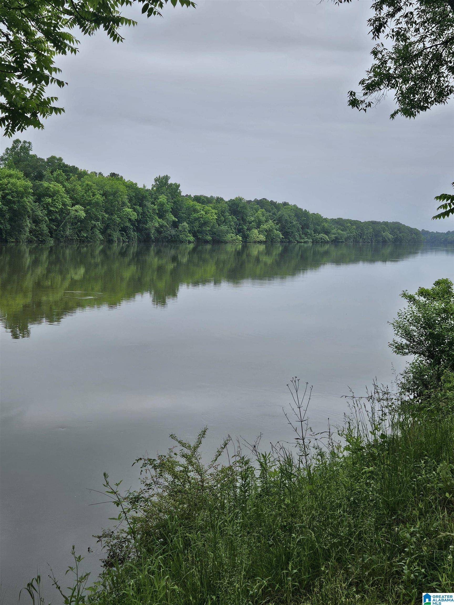 Ragland, AL 35131,168 CHOCTAW LANE