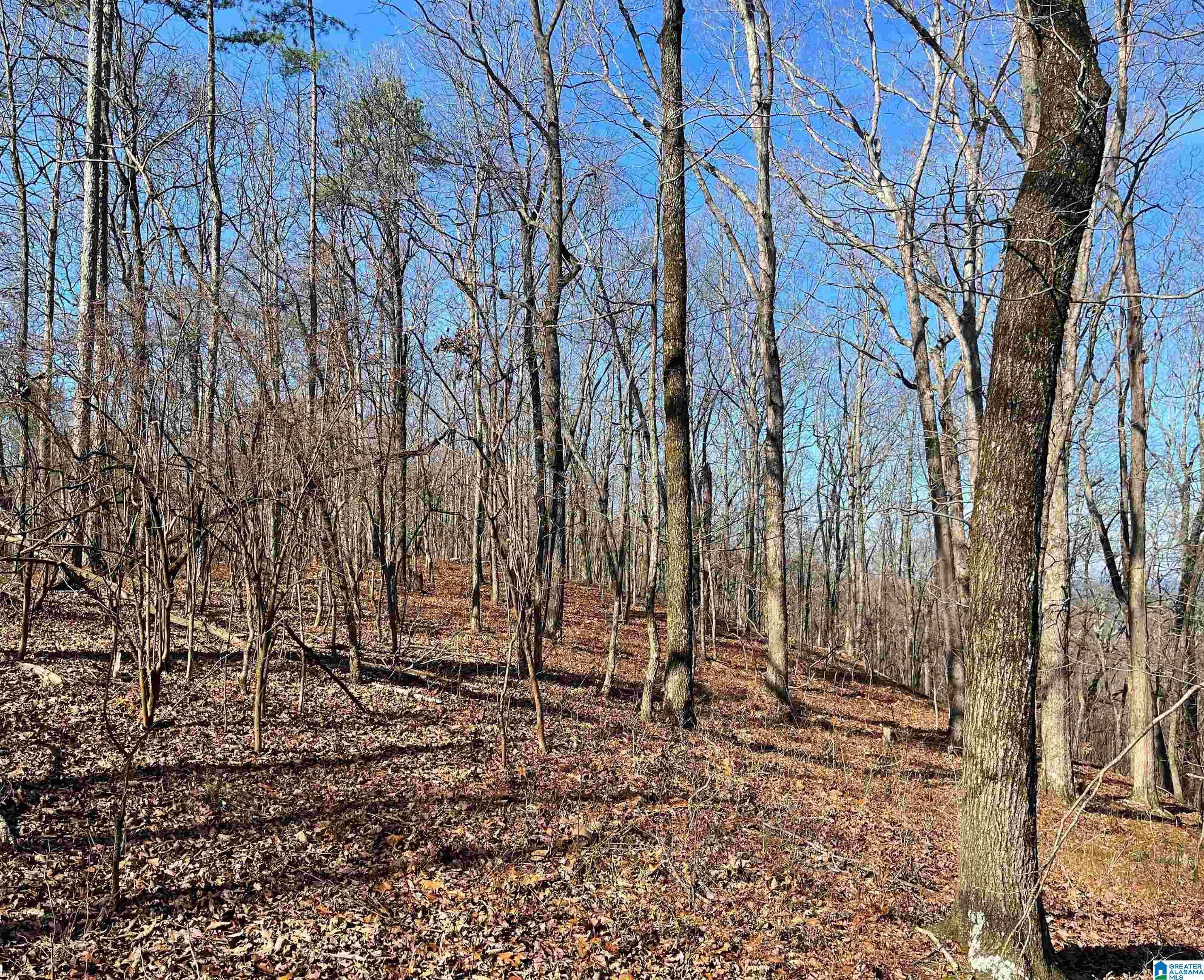 Heflin, AL 36264,0 COUNTY ROAD 852 #1