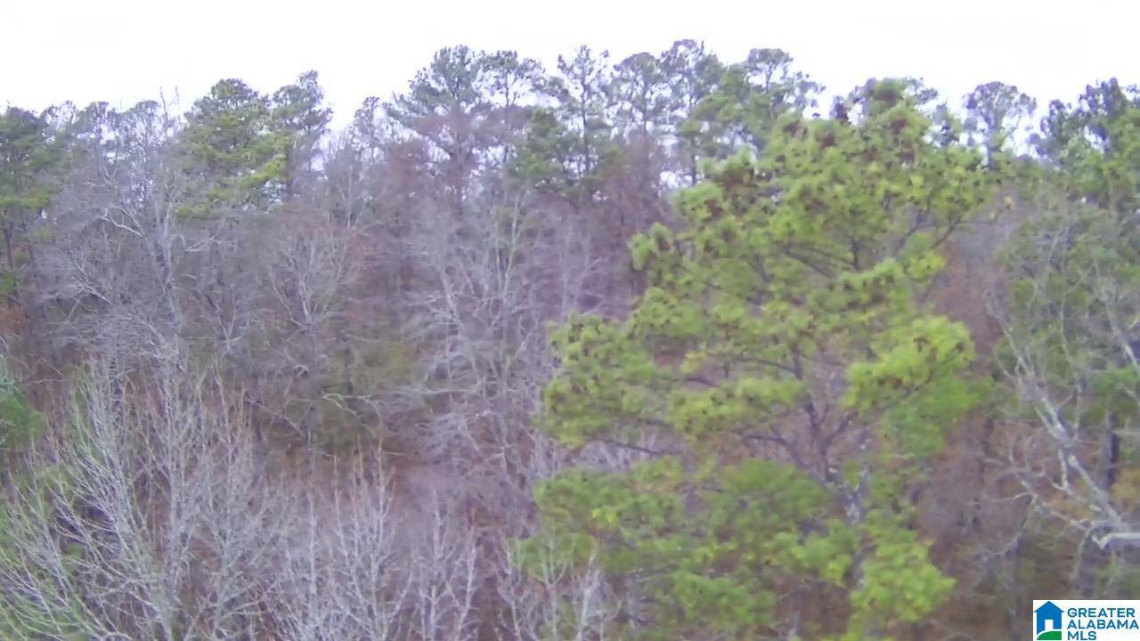 Birmingham, AL 35217,100 PLEASANT VALLEY DRIVE #1