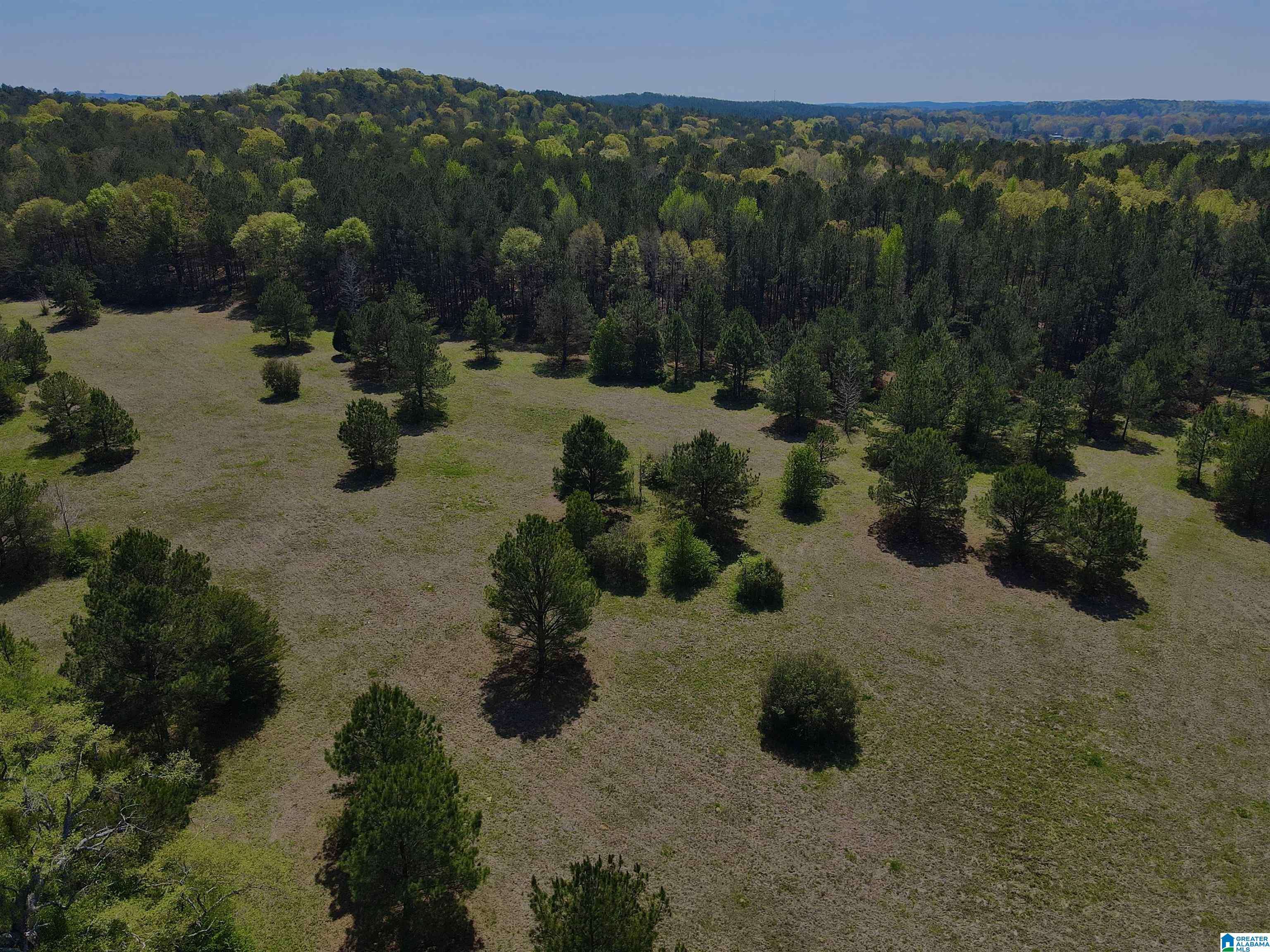 Shelby, AL 35143,0 HIGHWAY 145 #1