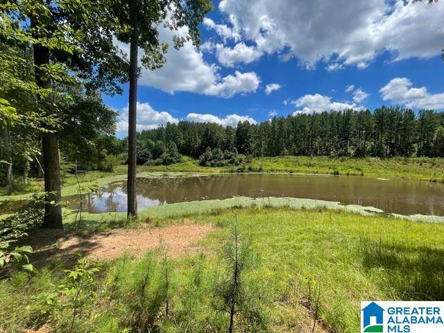 Wedowee, AL 36278,1050 COUNTY ROAD 329 #185 Ac