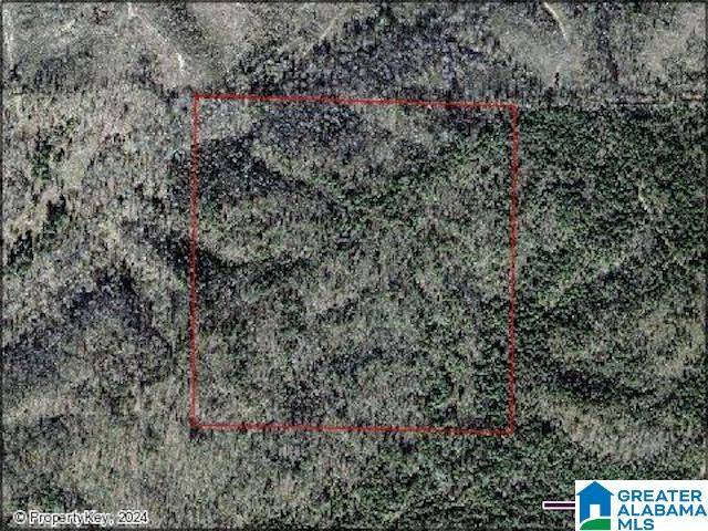 Pinson, AL 35126,8645 BRASHER ROAD #001