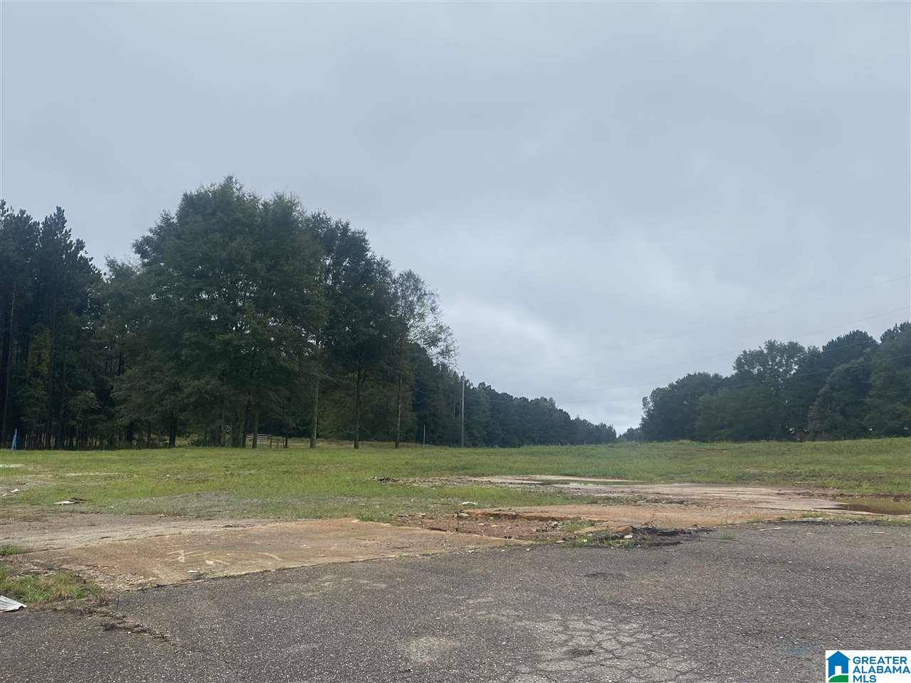 Wedowee, AL 36278,0 S MAIN STREET #1