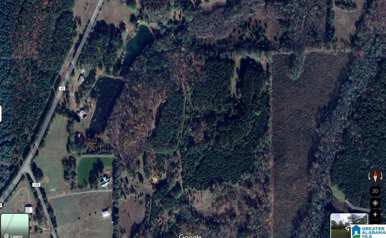 Kellyton, AL 35089,00 COUNTY ROAD 40 #0