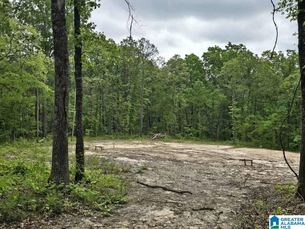 Delta, AL 36258,128 COUNTY ROAD 928 #14