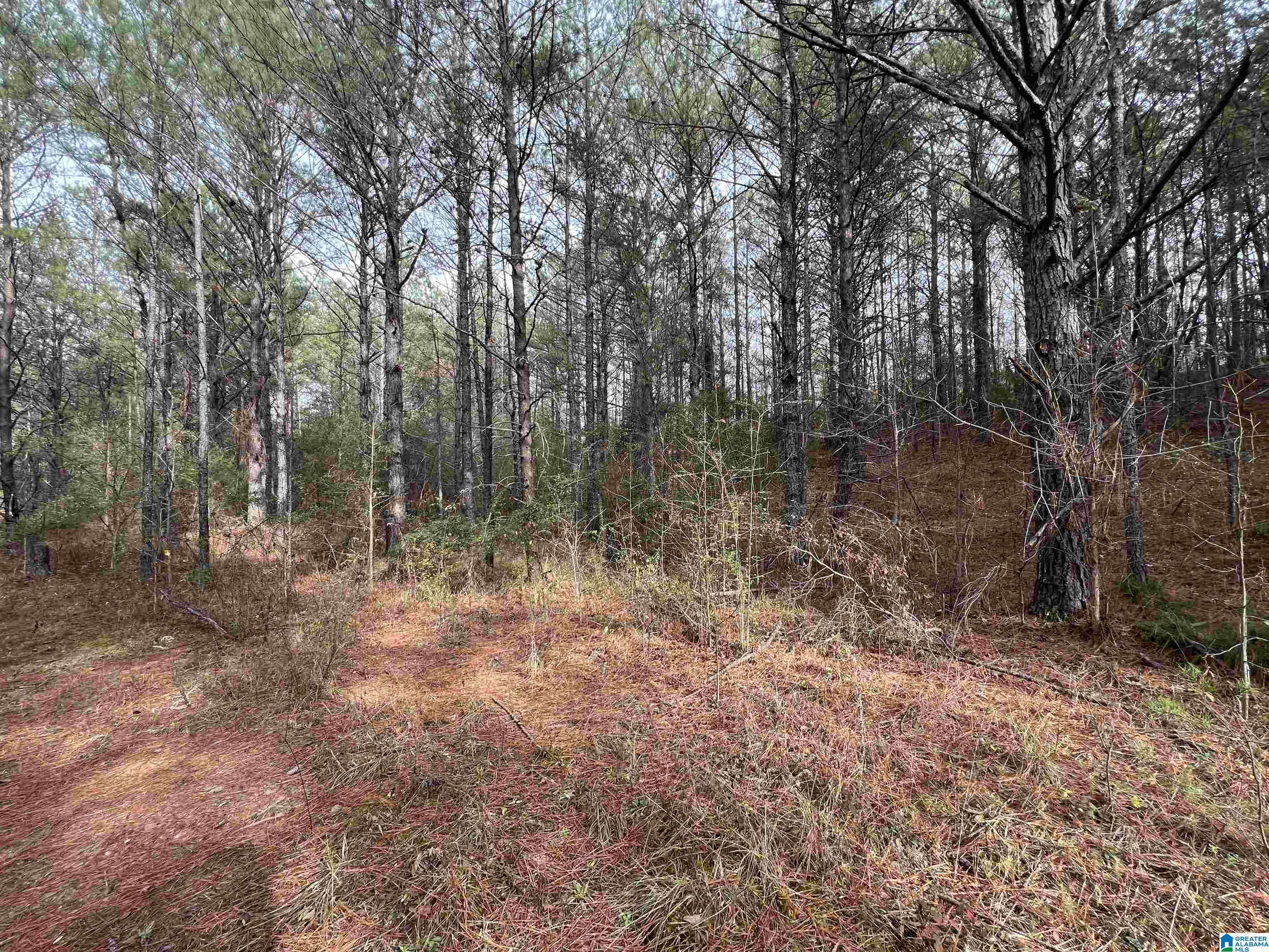 Brookwood, AL 35444,15239 RIDGELAND ROAD #n/a