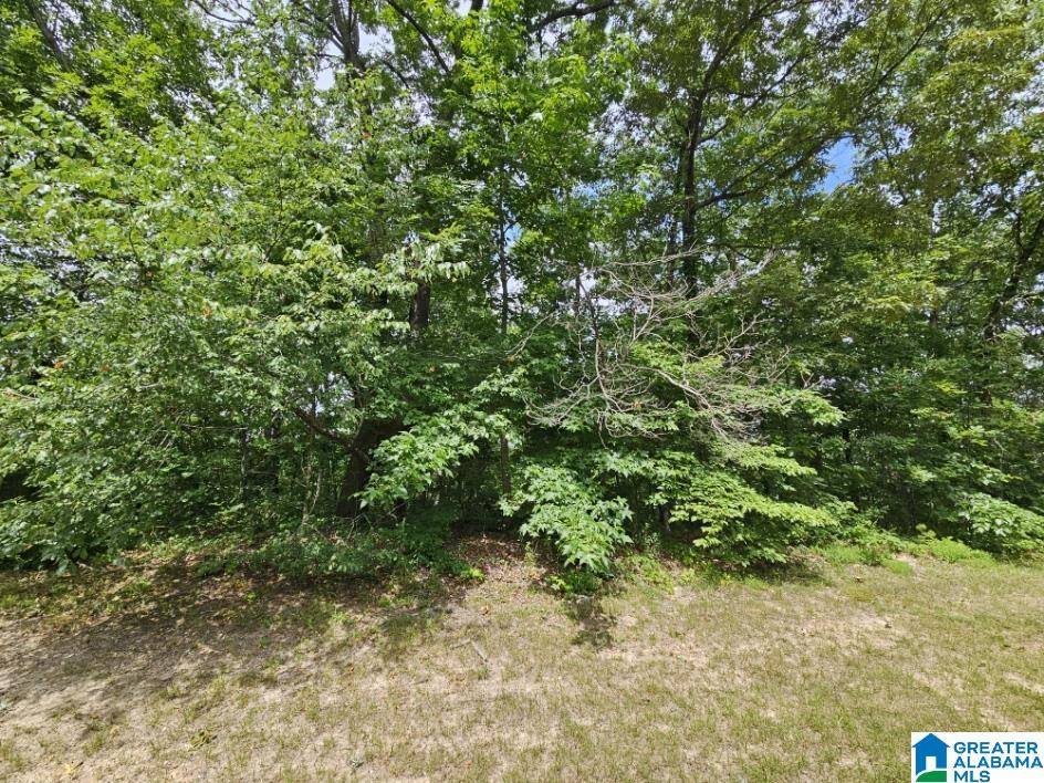 Odenville, AL 35120,0 ARADON TRACE #15