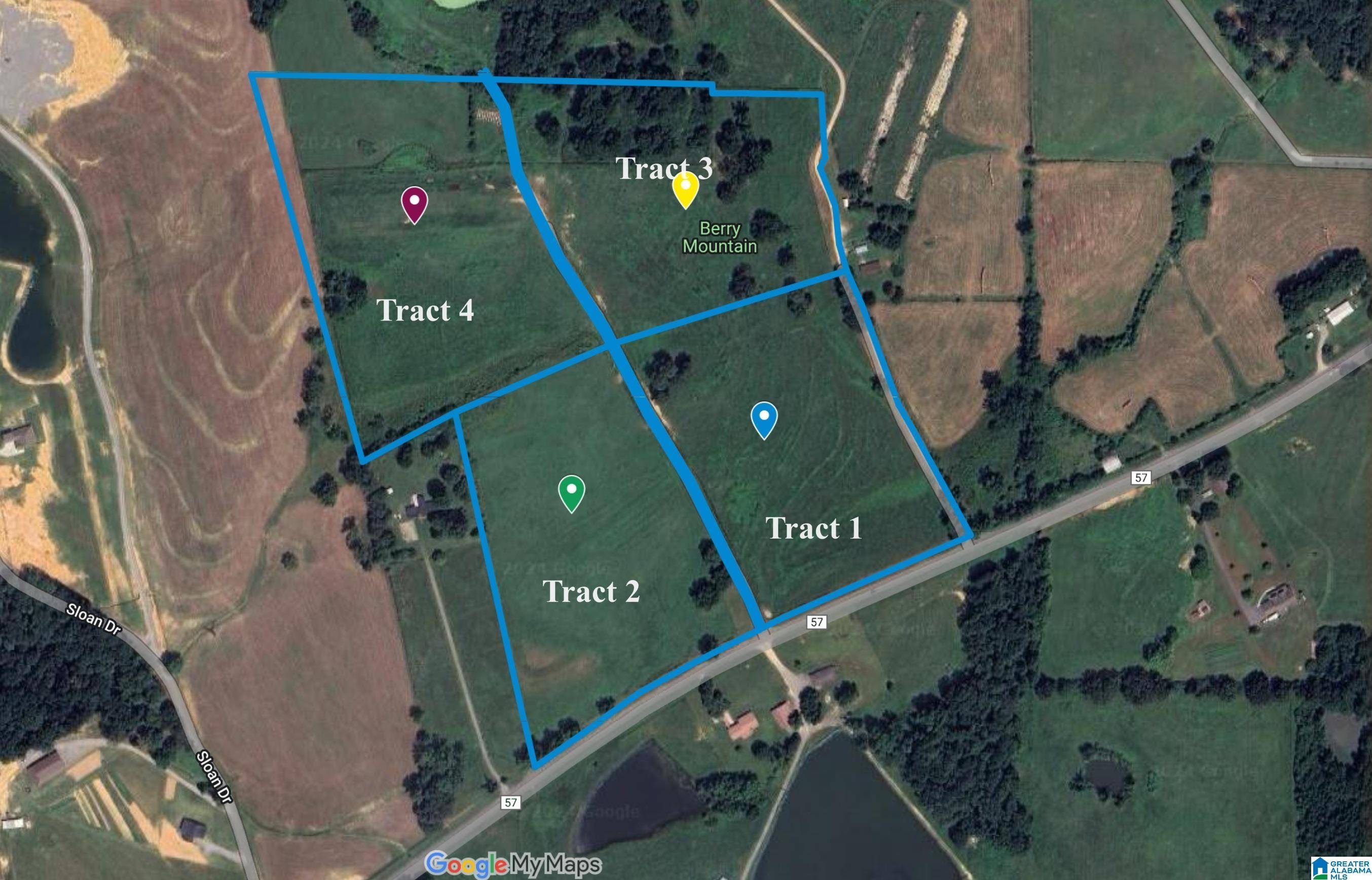 Blountsville, AL 35031,HIGHWAY 57 #Tract 4