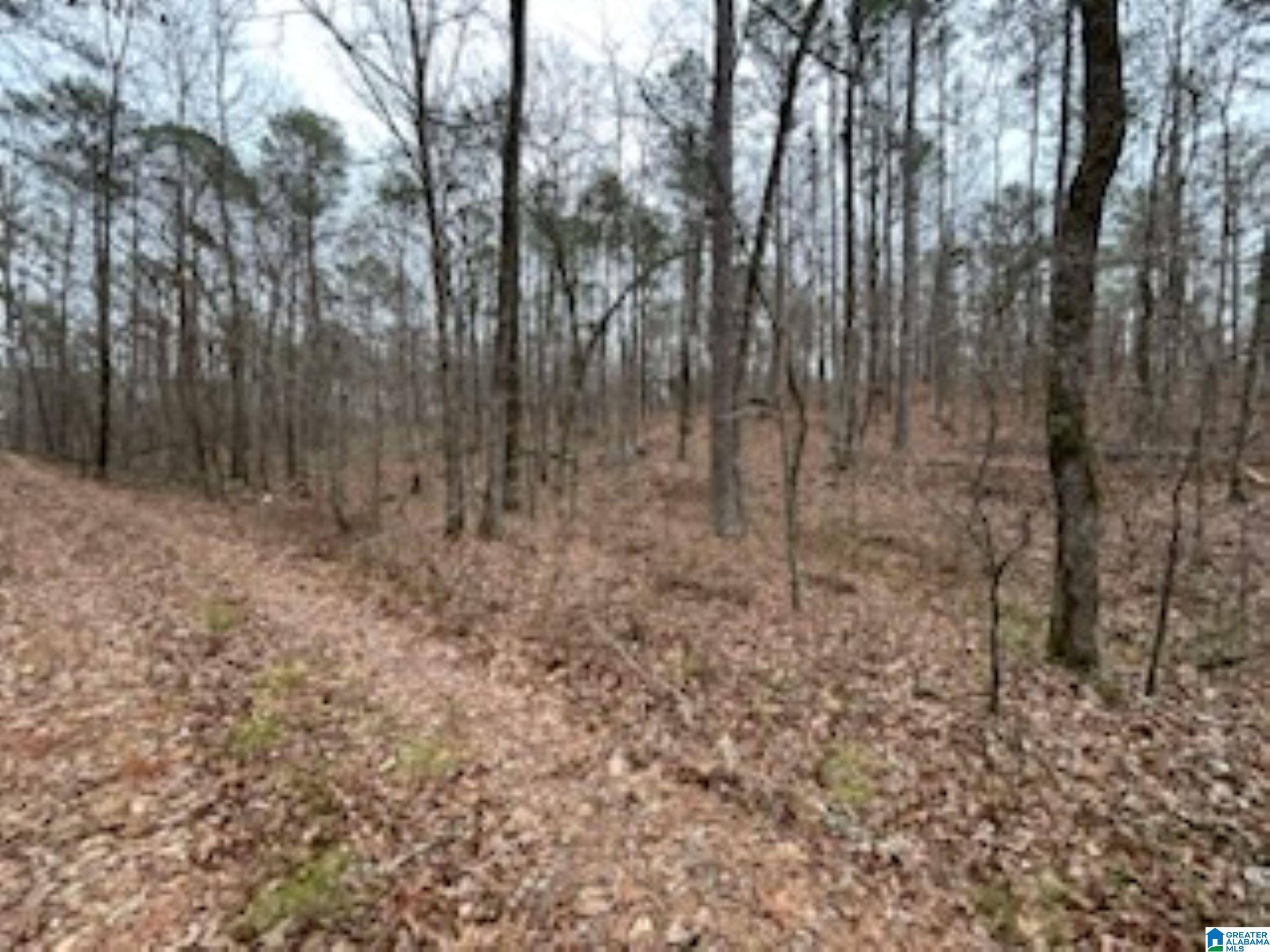 Wilsonville, AL 35186,000 HIGHWAY 55 #0
