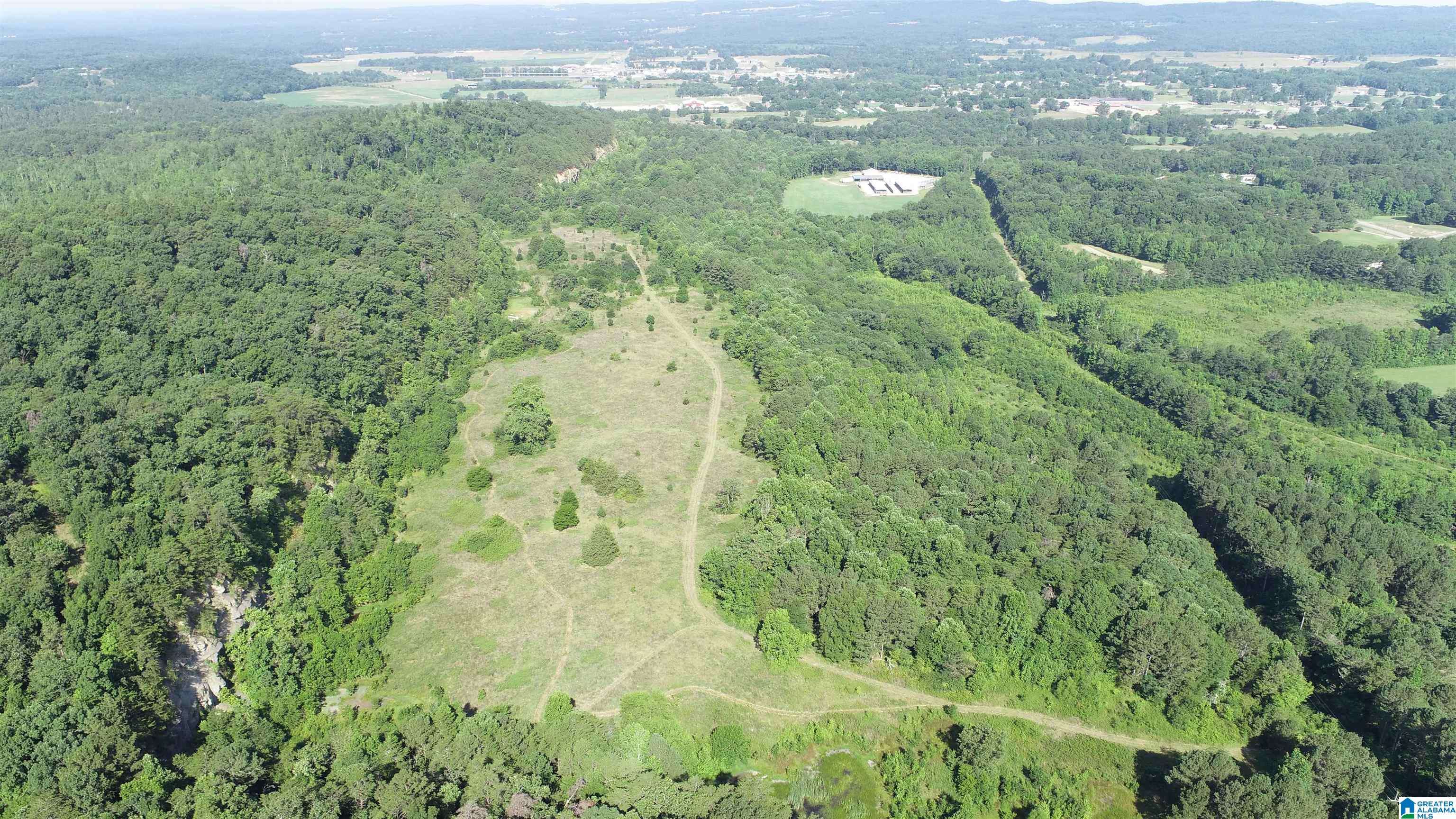 Oneonta, AL 35121,0 HIGHWAY 231 #88+/- Ac
