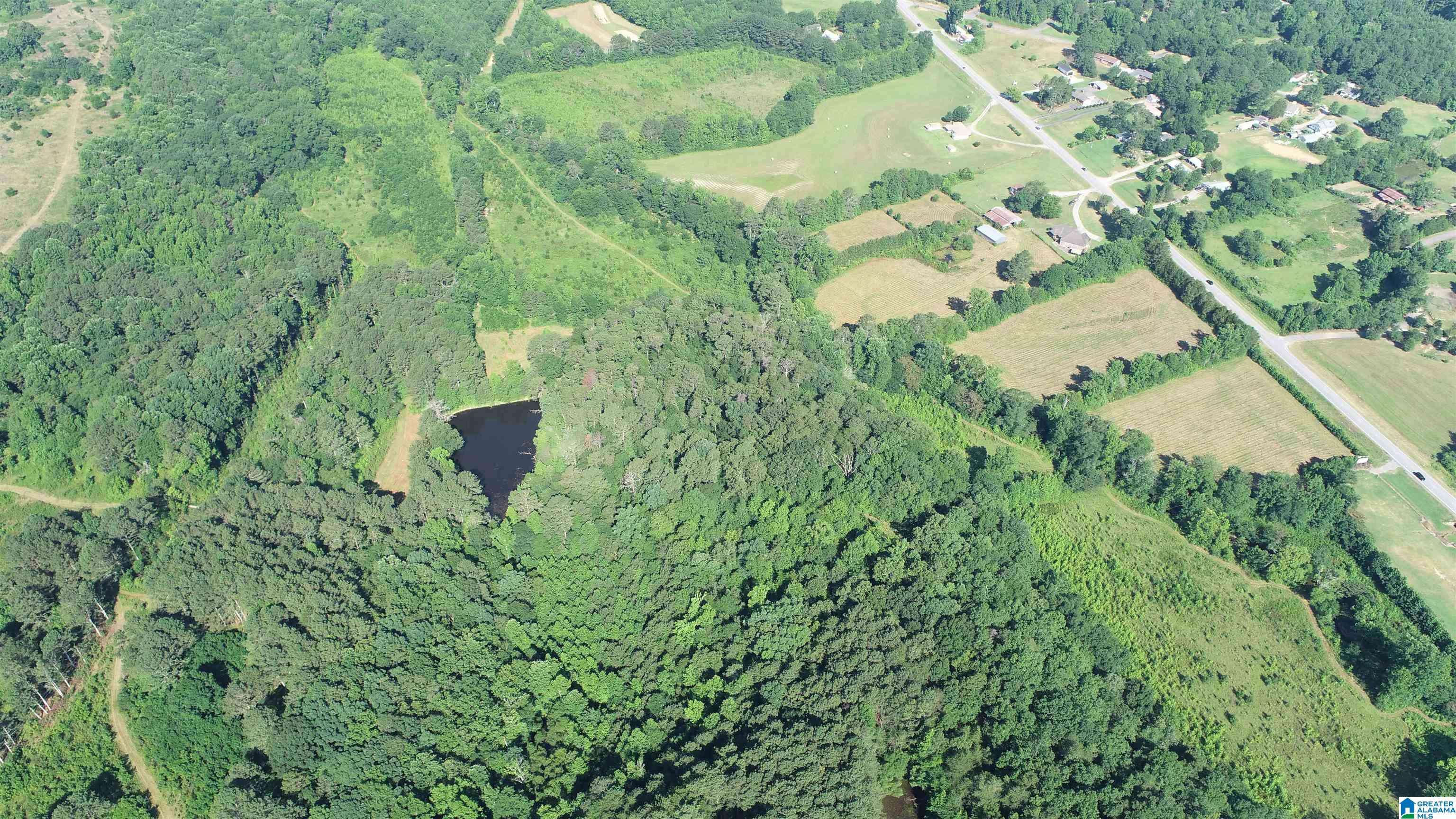 Oneonta, AL 35146,0 HIGHWAY 231 #102+/- Ac