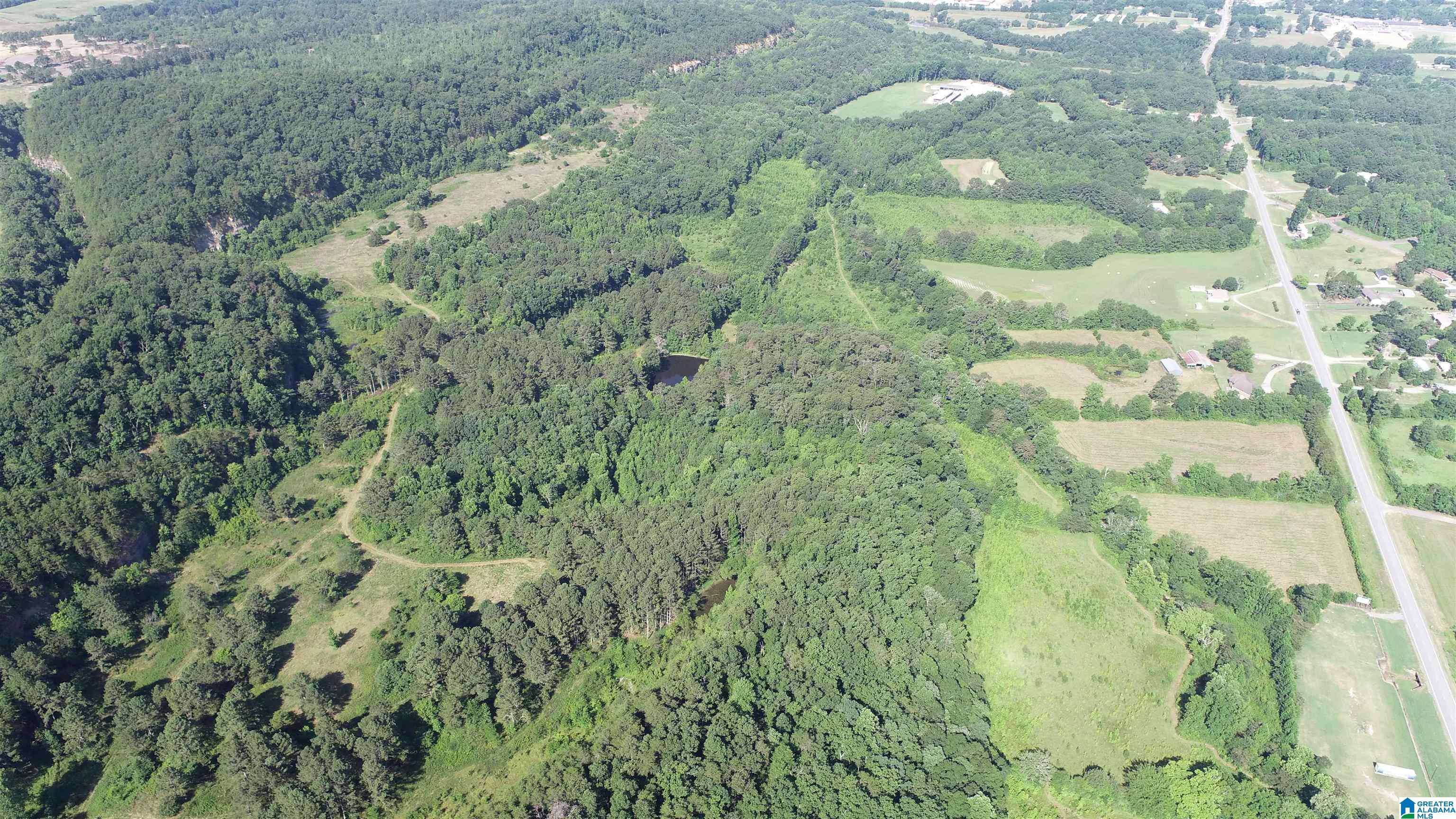 Oneonta, AL 35146,0 HIGHWAY 231 #102+/- Ac