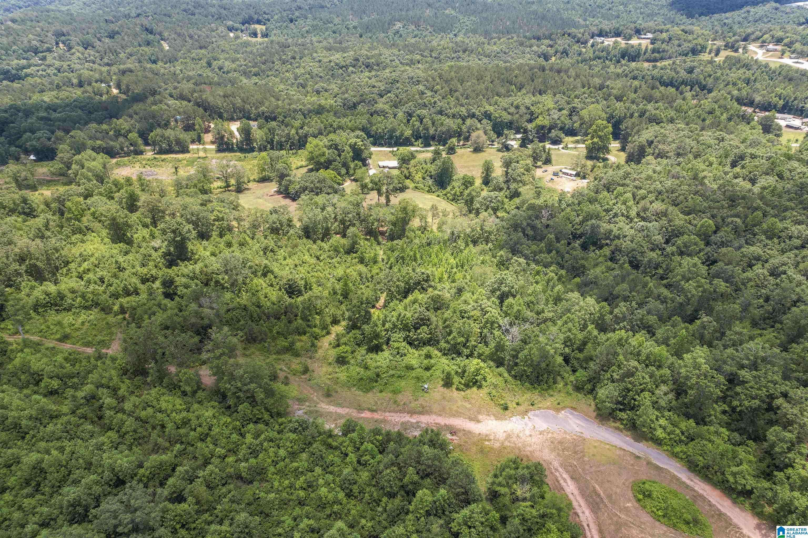 Lineville, AL 36266,3223 COUNTY ROAD 82