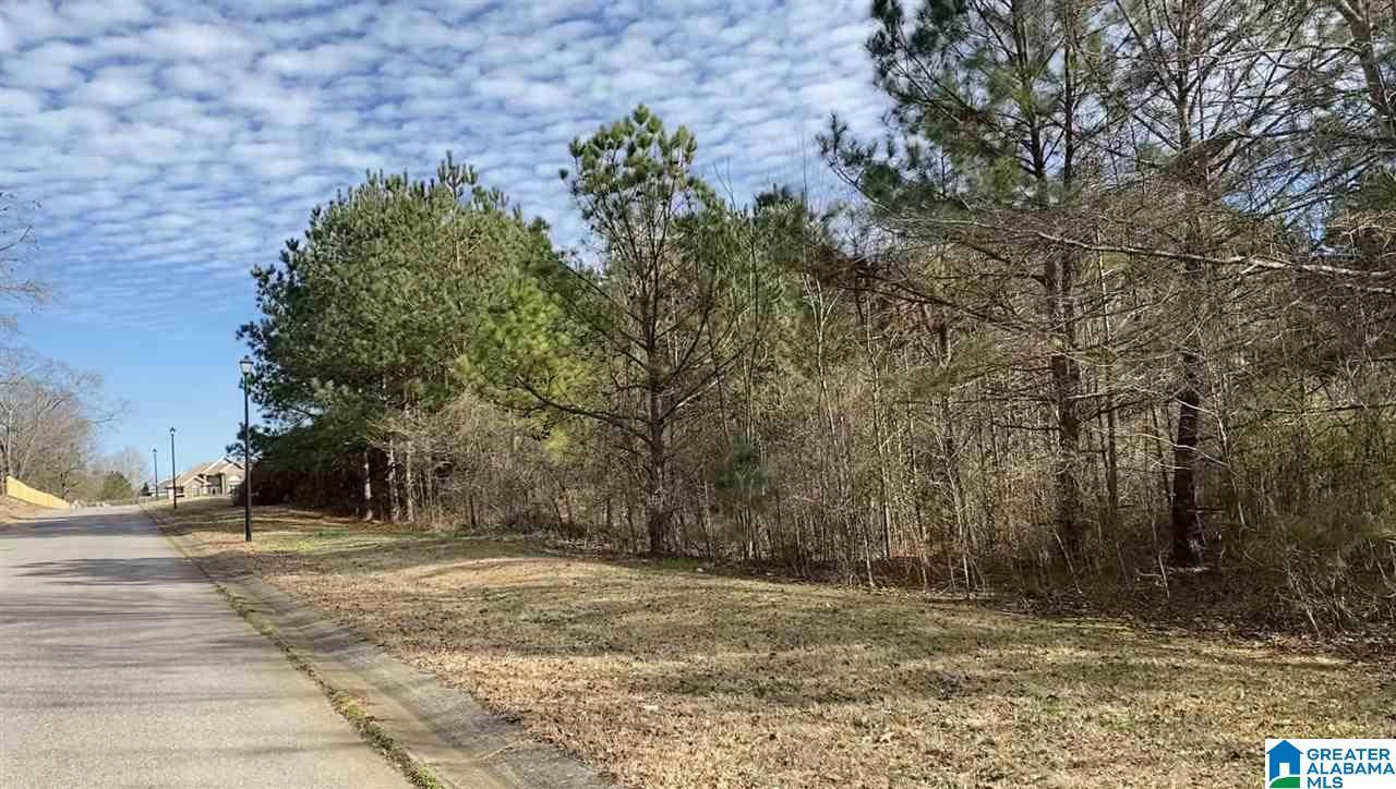 Thorsby, AL 35171,Lot 14 COUNTY ROAD 70 #14