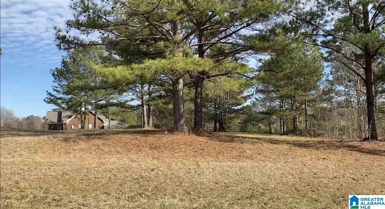 Thorsby, AL 35171,Lot 4 COUNTY ROAD 70 #4