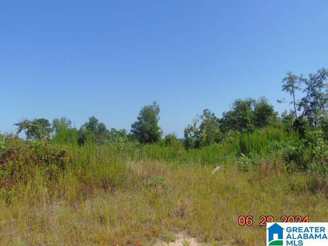 Verbena, AL 36091,0 COUNTY ROAD 447 #1