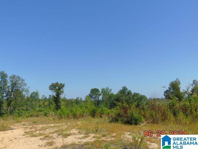 Verbena, AL 36091,0 COUNTY ROAD 447 #1