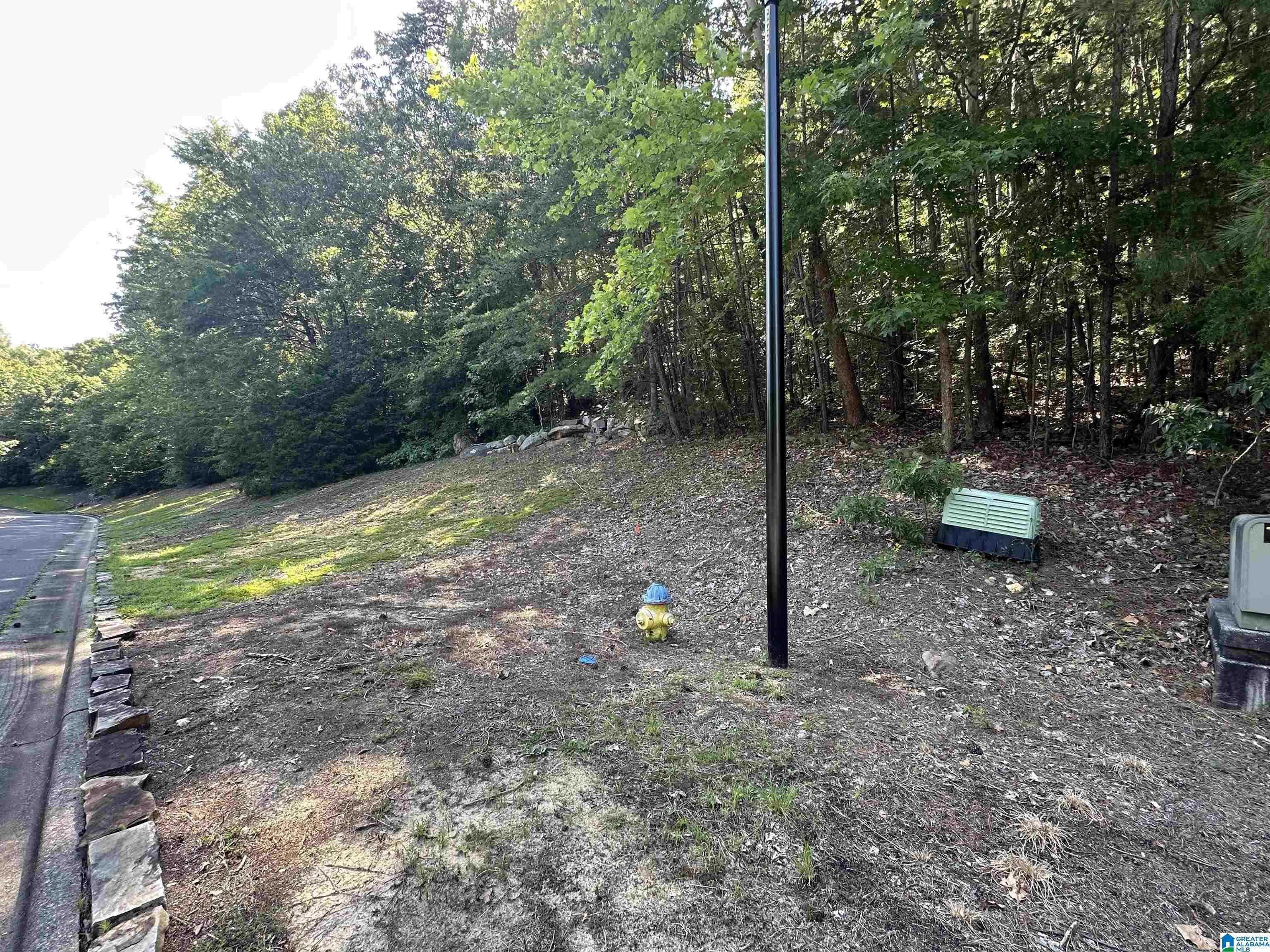 Oneonta, AL 35121,0 BELLERIVE CIRCLE #158A