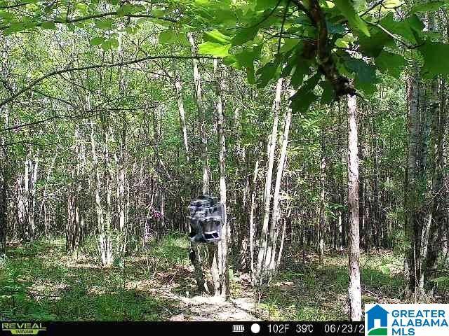 Munford, AL 36268,0 ROLLING HILLS LANE #11