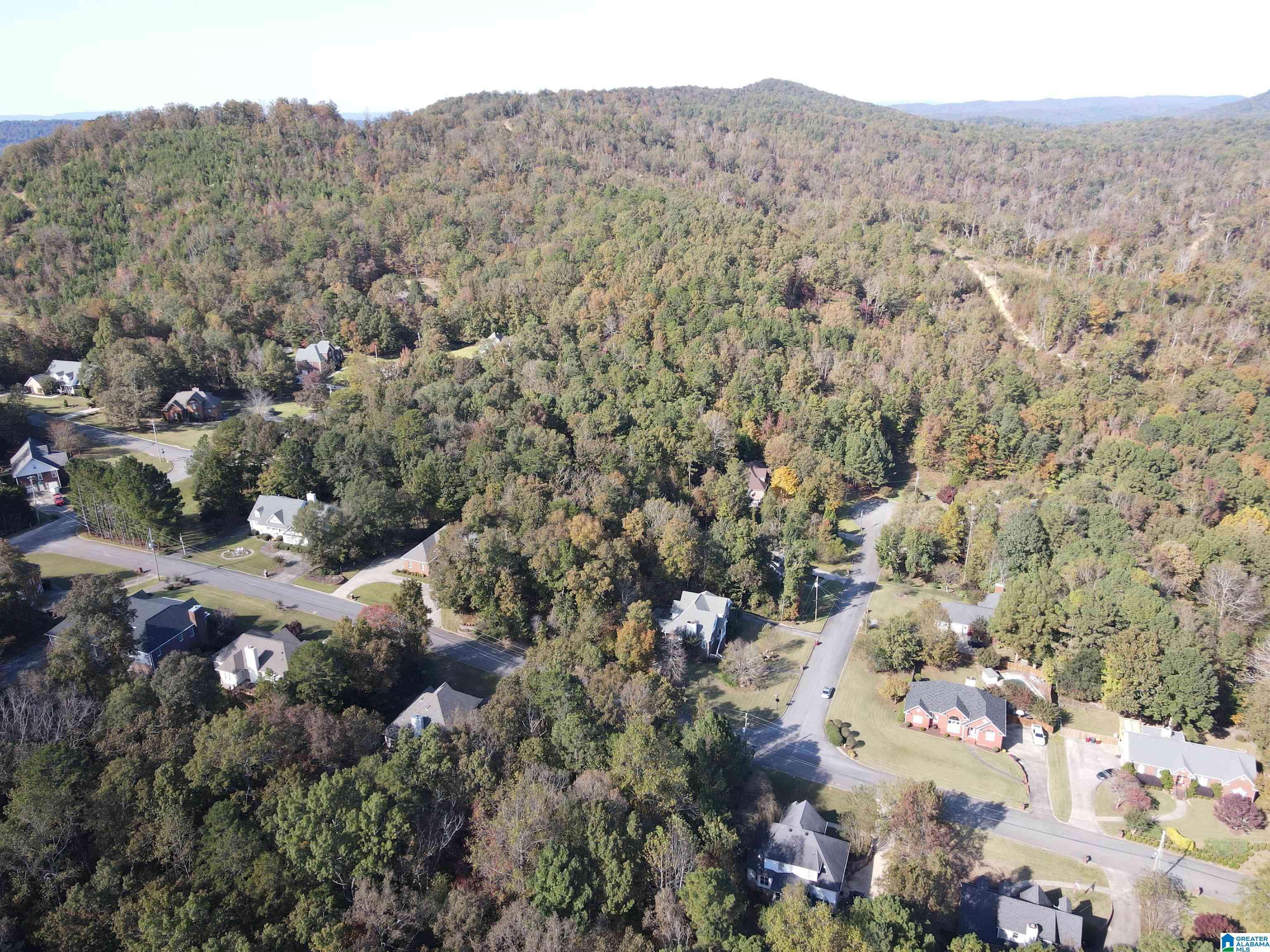 Pinson, AL 35126,6217 EMERALD FOREST DRIVE #22