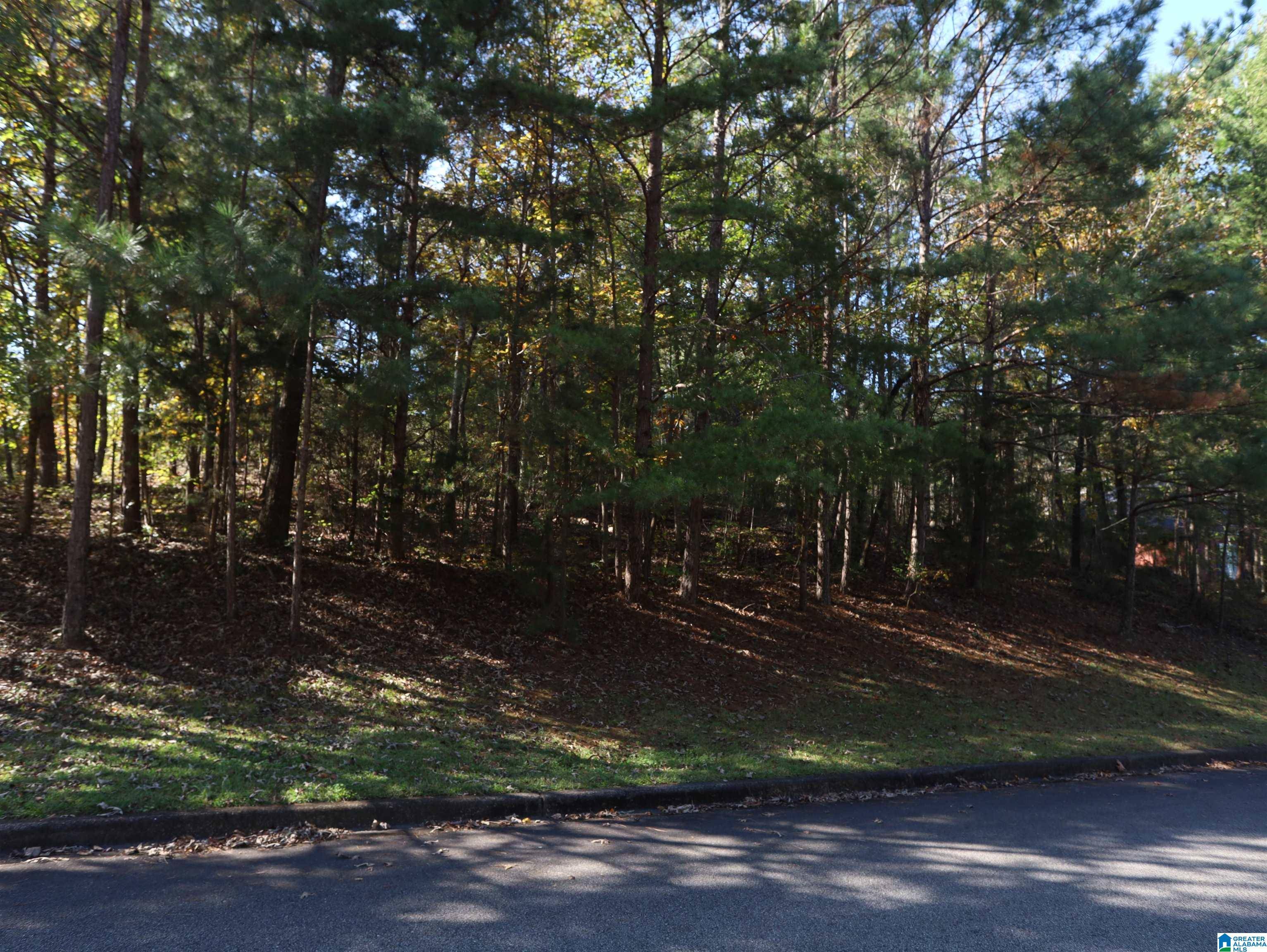 Pinson, AL 35126,6217 EMERALD FOREST DRIVE #22
