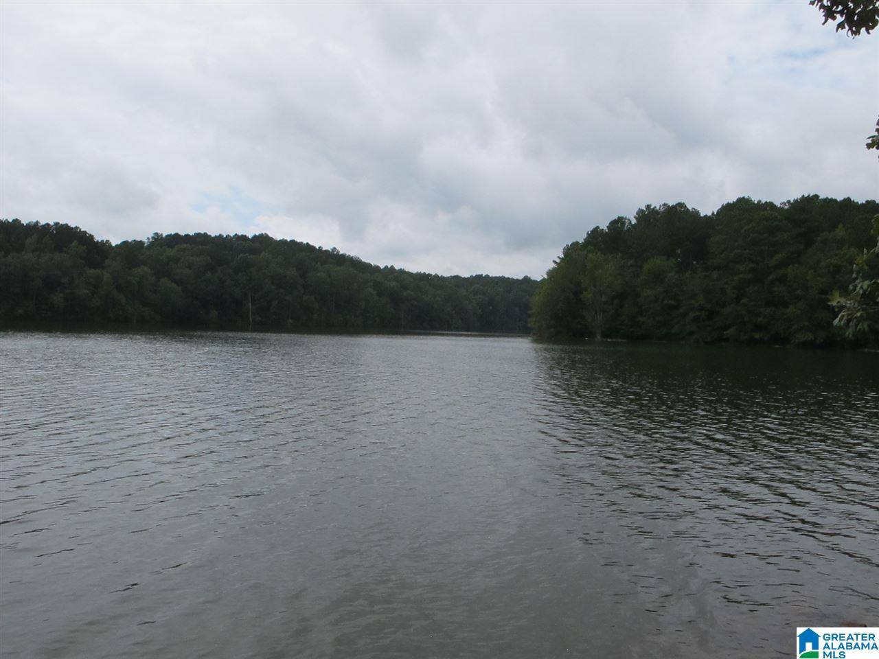 Wedowee, AL 36278,Lot 13 COUNTY ROAD 99 #13