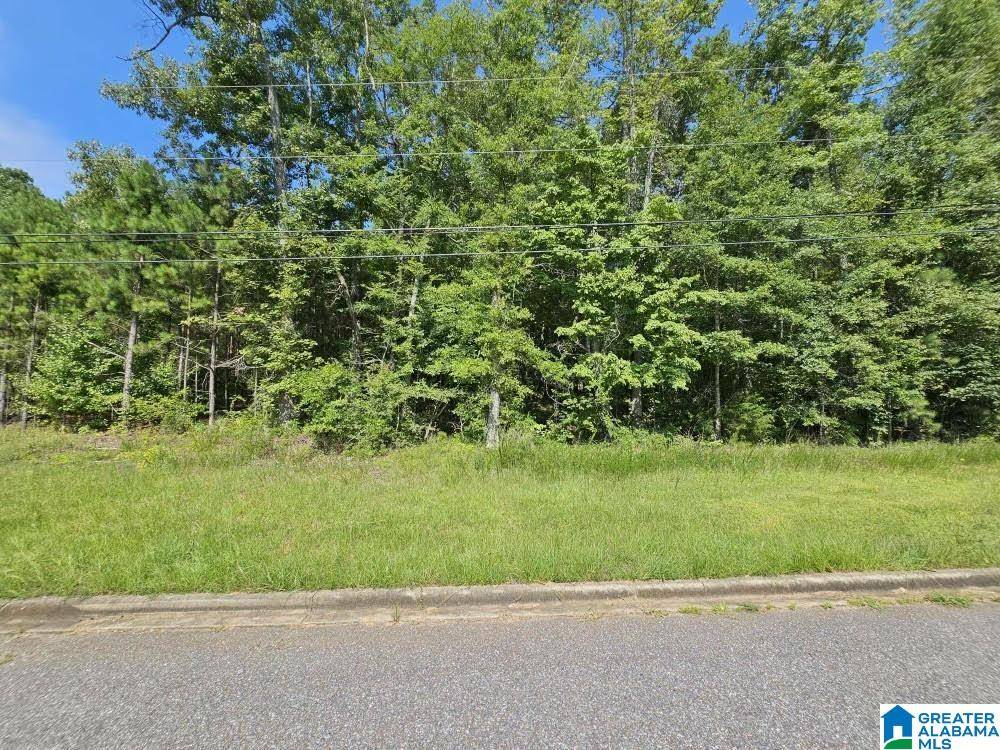 Pell City, AL 35128,Lot 24 WOODHAVEN DRIVE #24