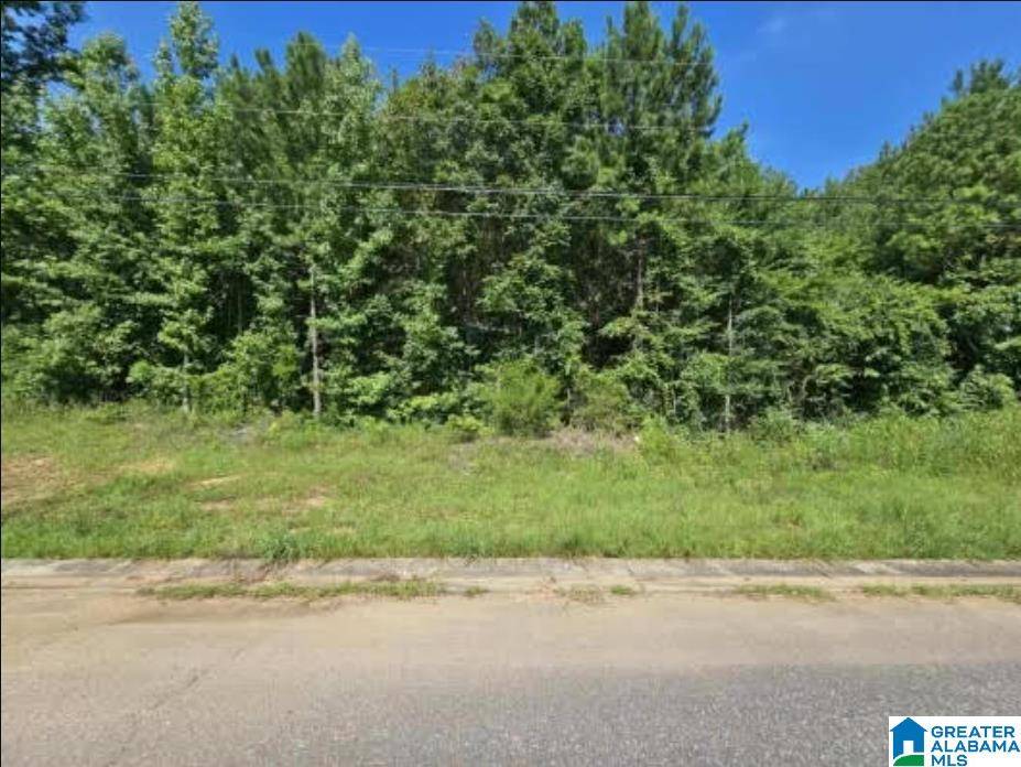 Pell City, AL 35128,Lot 4 WOODHAVEN DRIVE #4
