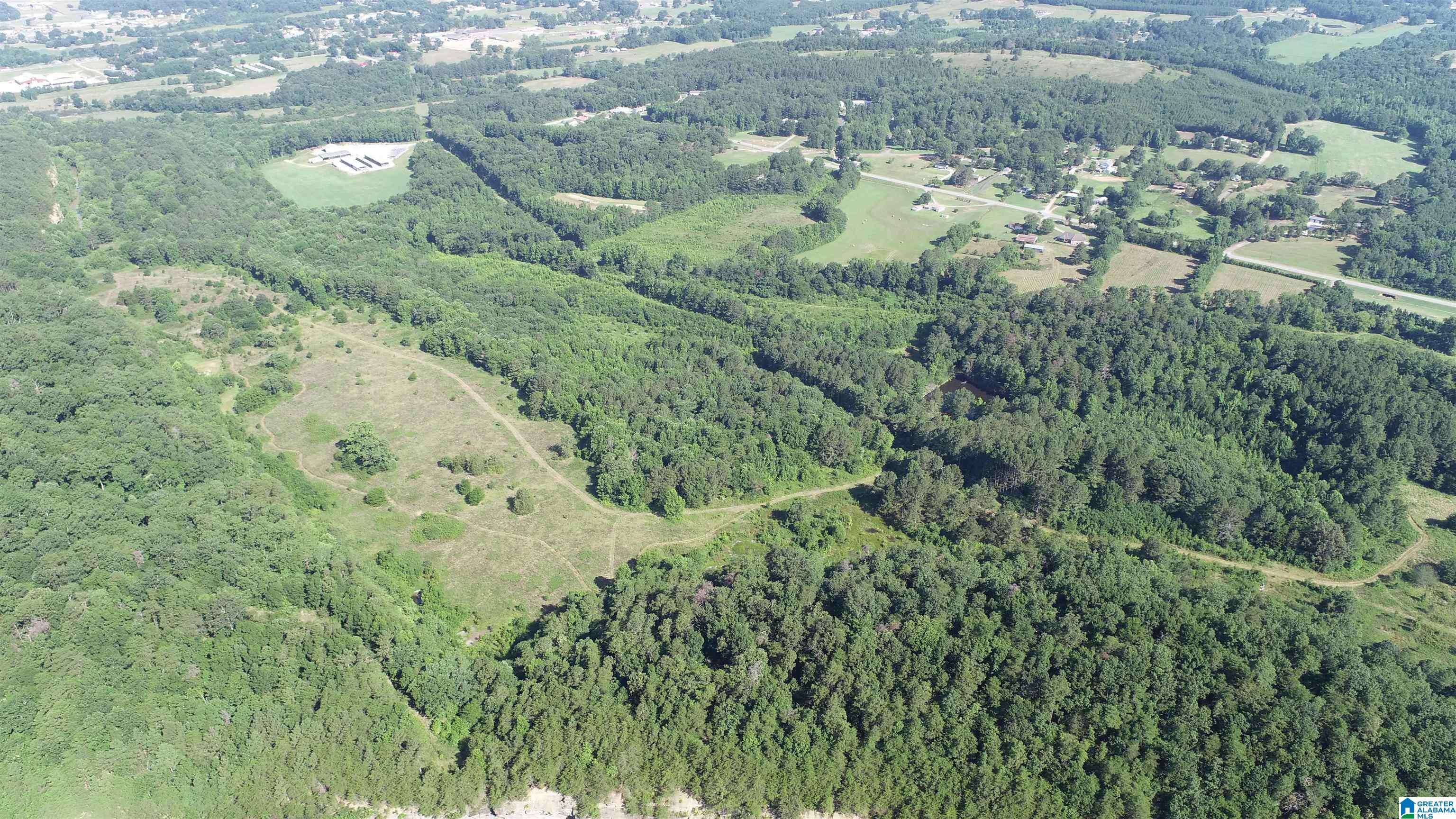 Oneonta, AL 35121,0 HIGHWAY 231 #190+/- Acres
