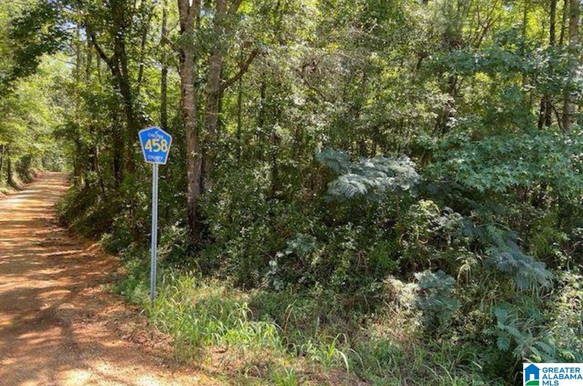 Clanton, AL 35046,0 county rd 458 CO ROAD #LOT # 1
