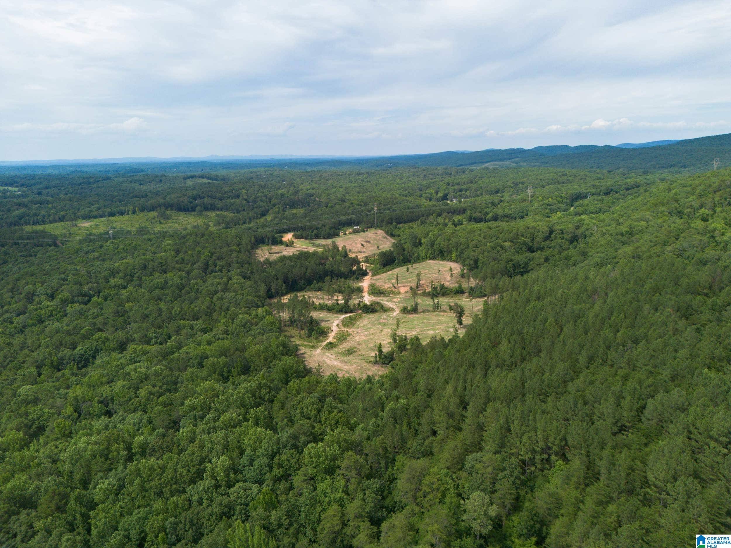 Pinson, AL 35126,7286 CHERRY DRIVE #123 Acres