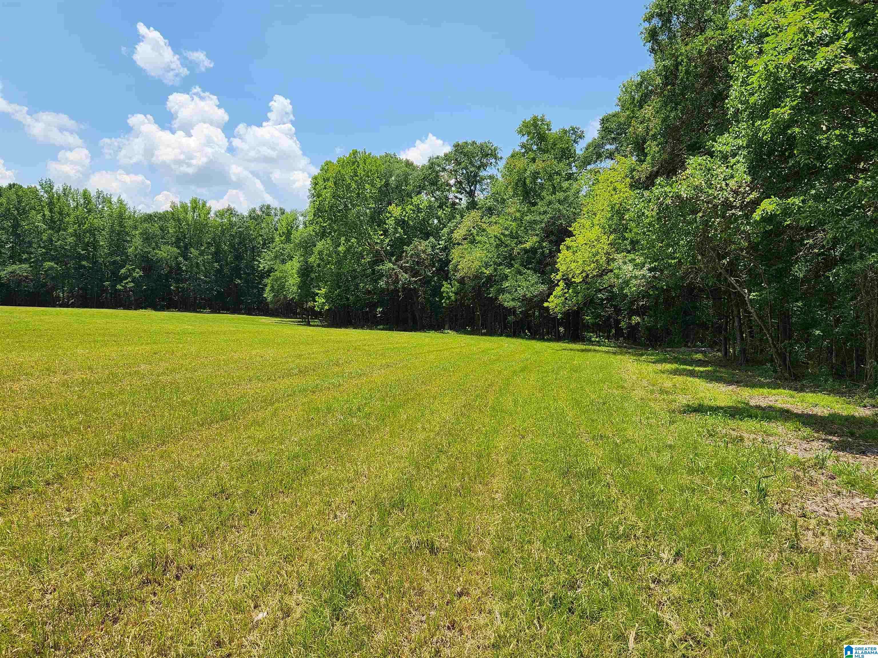 Montevallo, AL 35115,810 HIGHWAY 24 #Lot 4