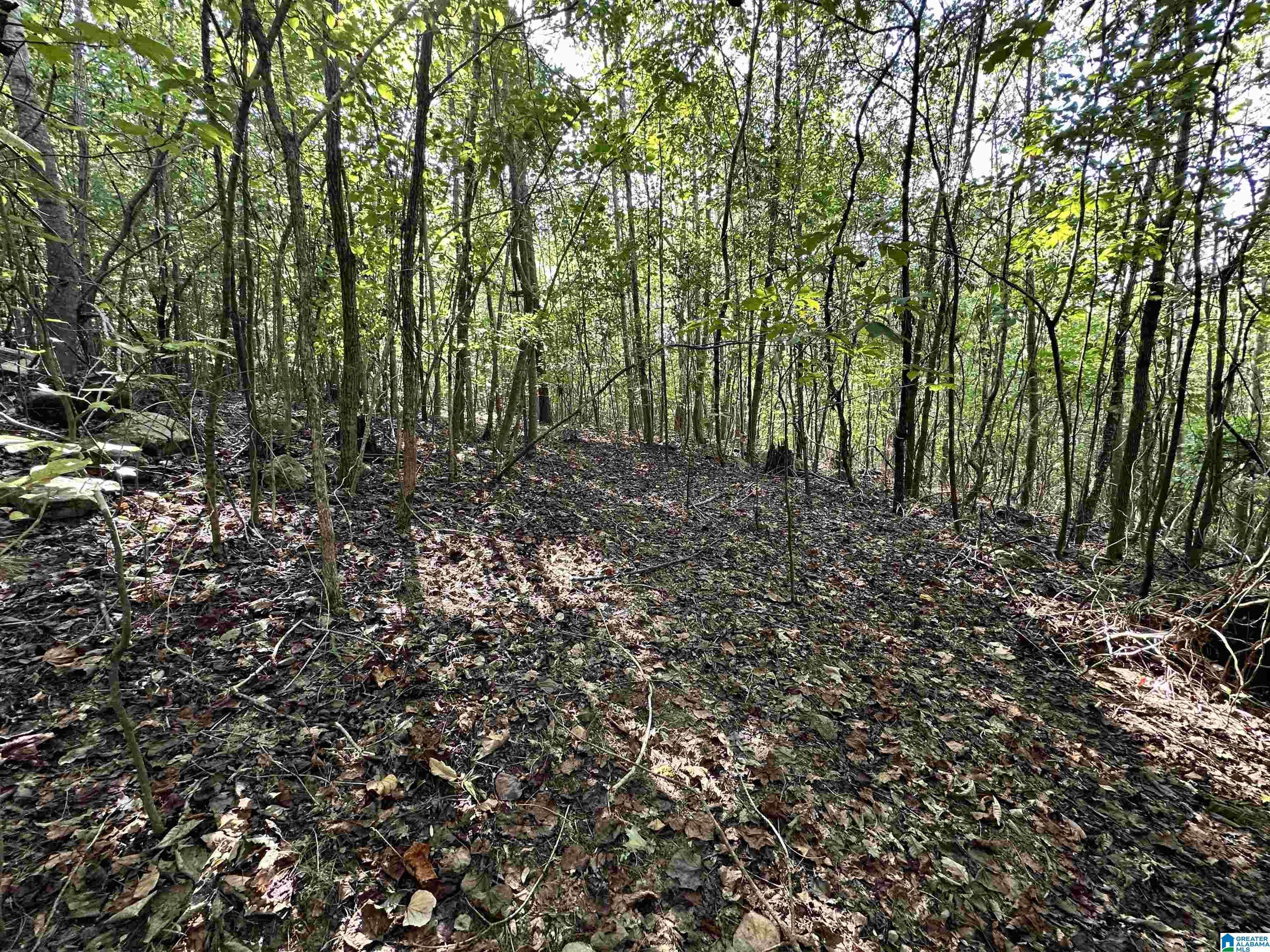 Ohatchee, AL 36271,0 GREEN HILLS ROAD #1