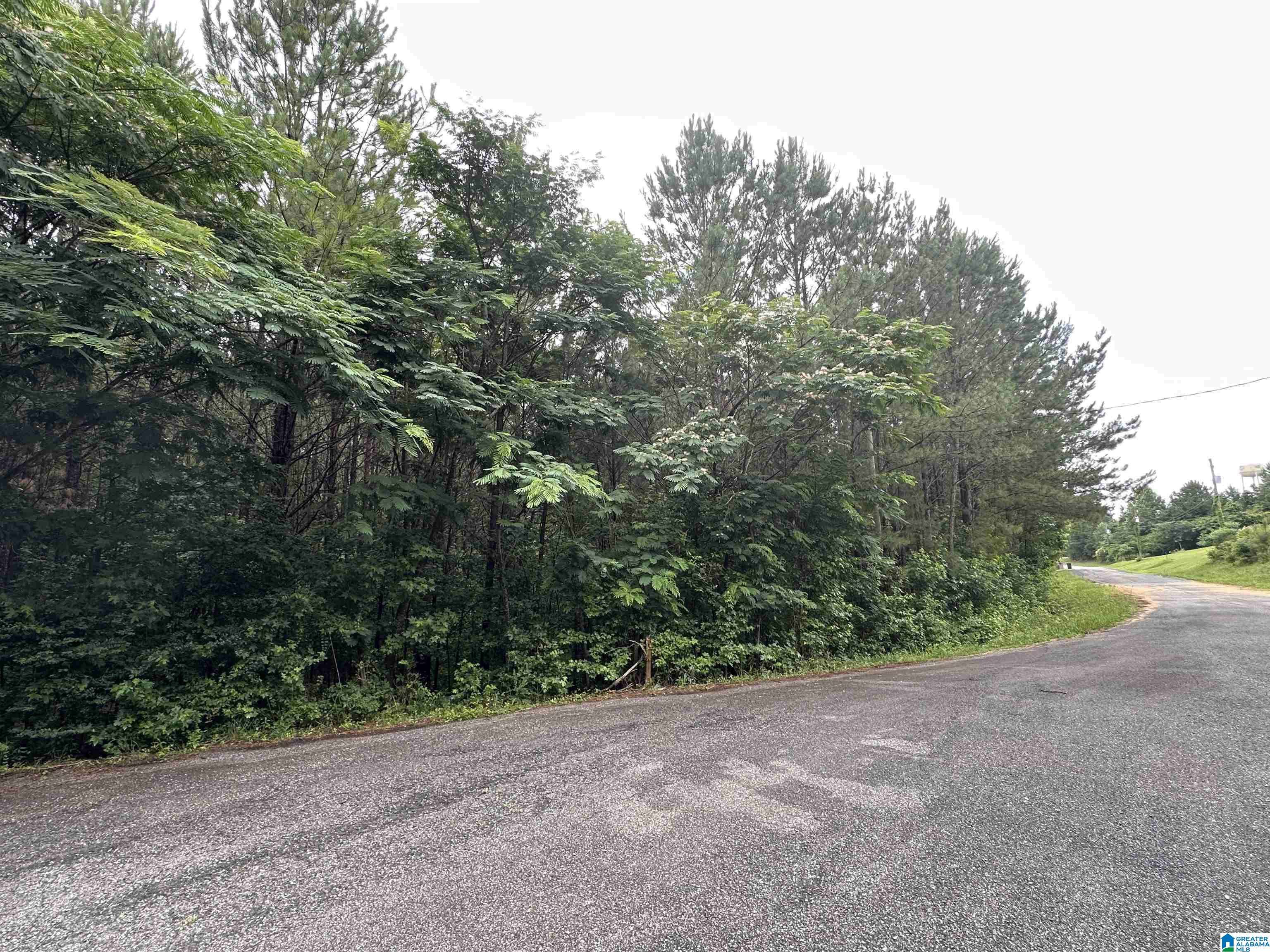 Odenville, AL 35004,260 VIRGINIA WAY #65