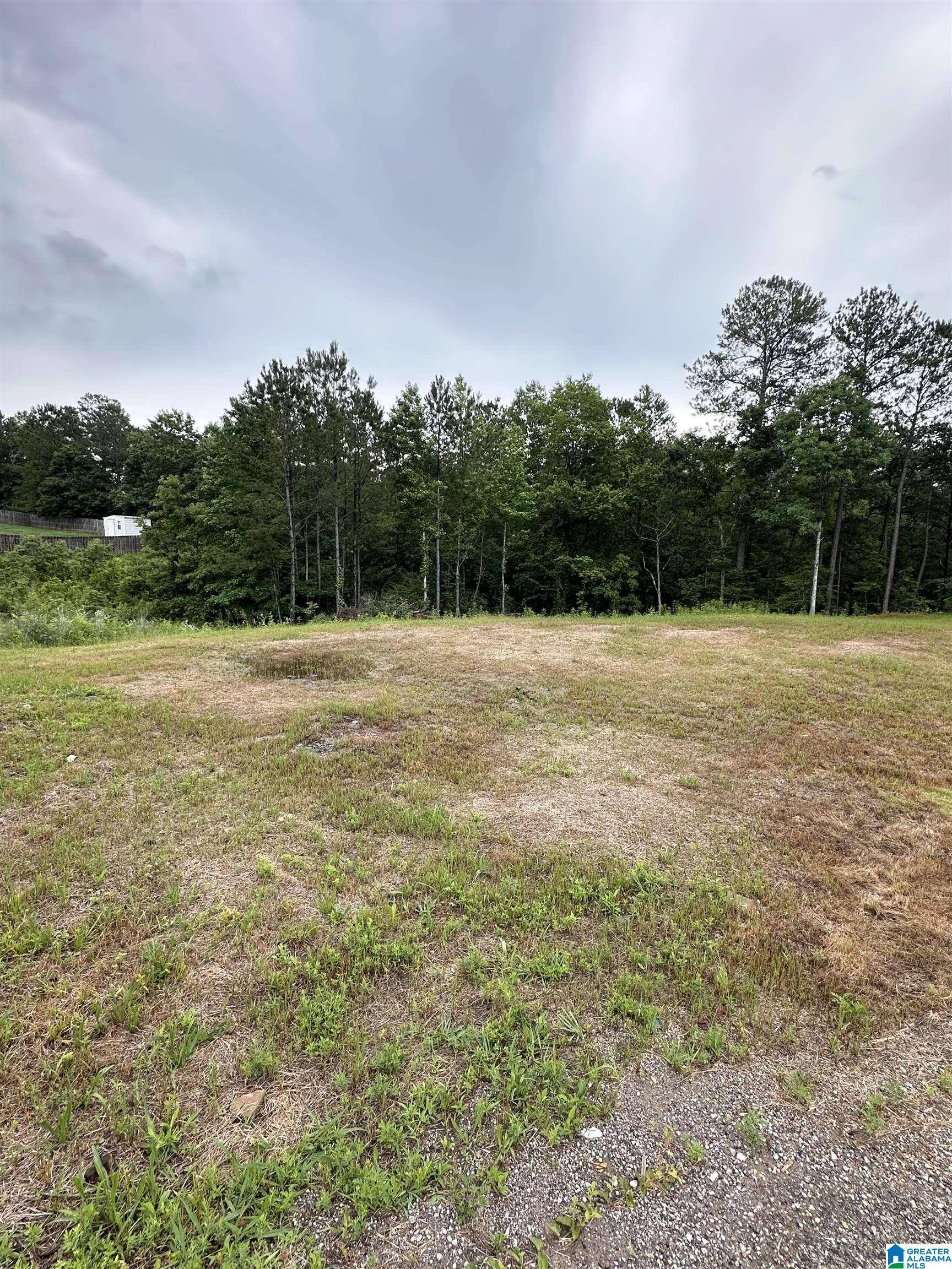 Odenville, AL 35004,230 VIRGINIA WAY #68