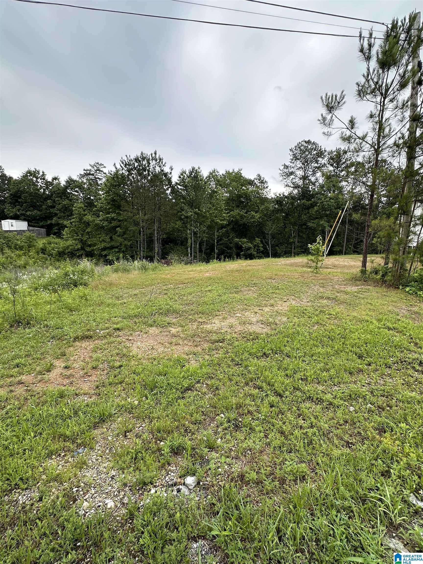 Odenville, AL 35004,220 VIRGINIA WAY #69