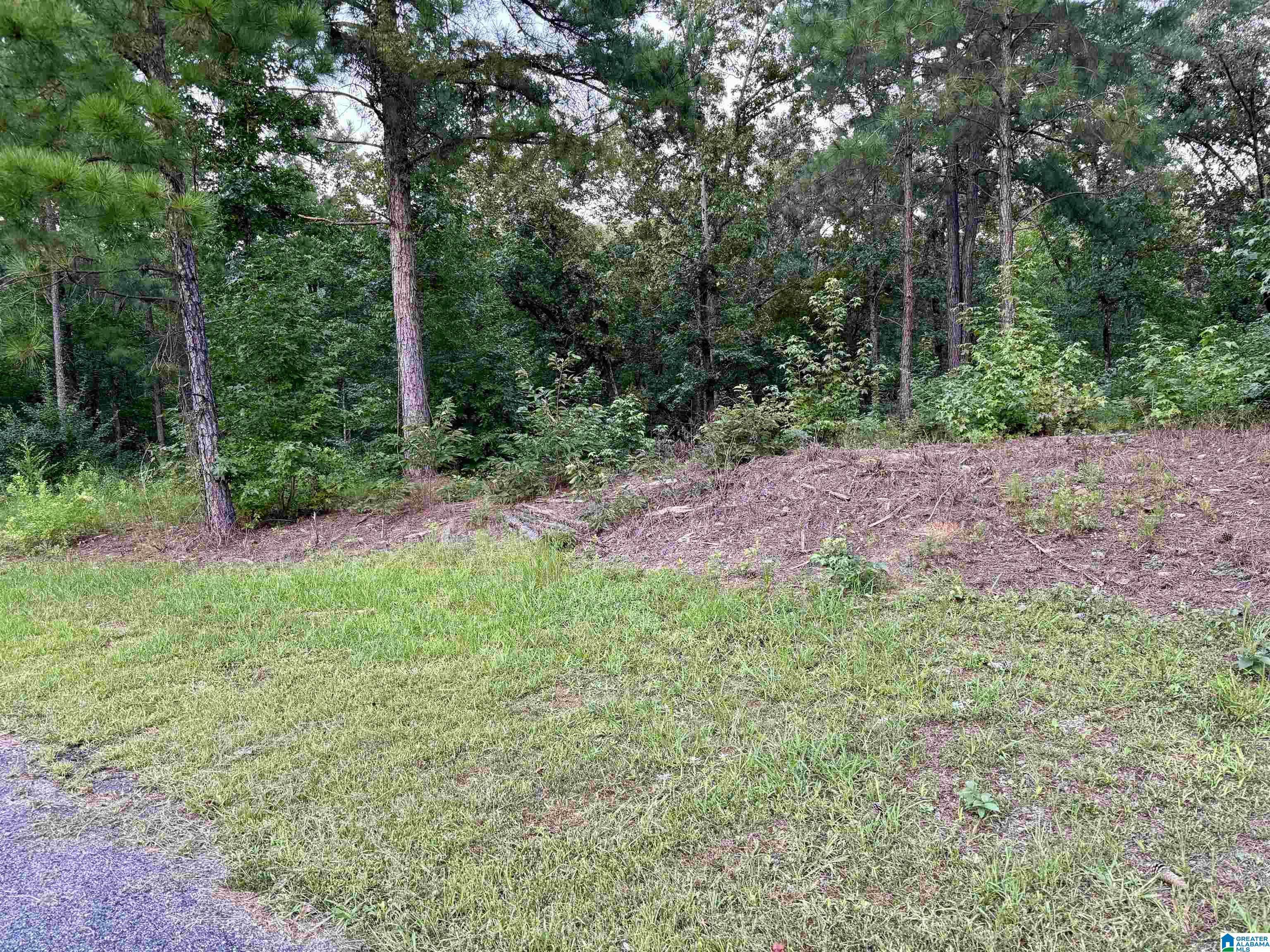 Sylacauga, AL 35151,STILLWATERS TRAIL #160