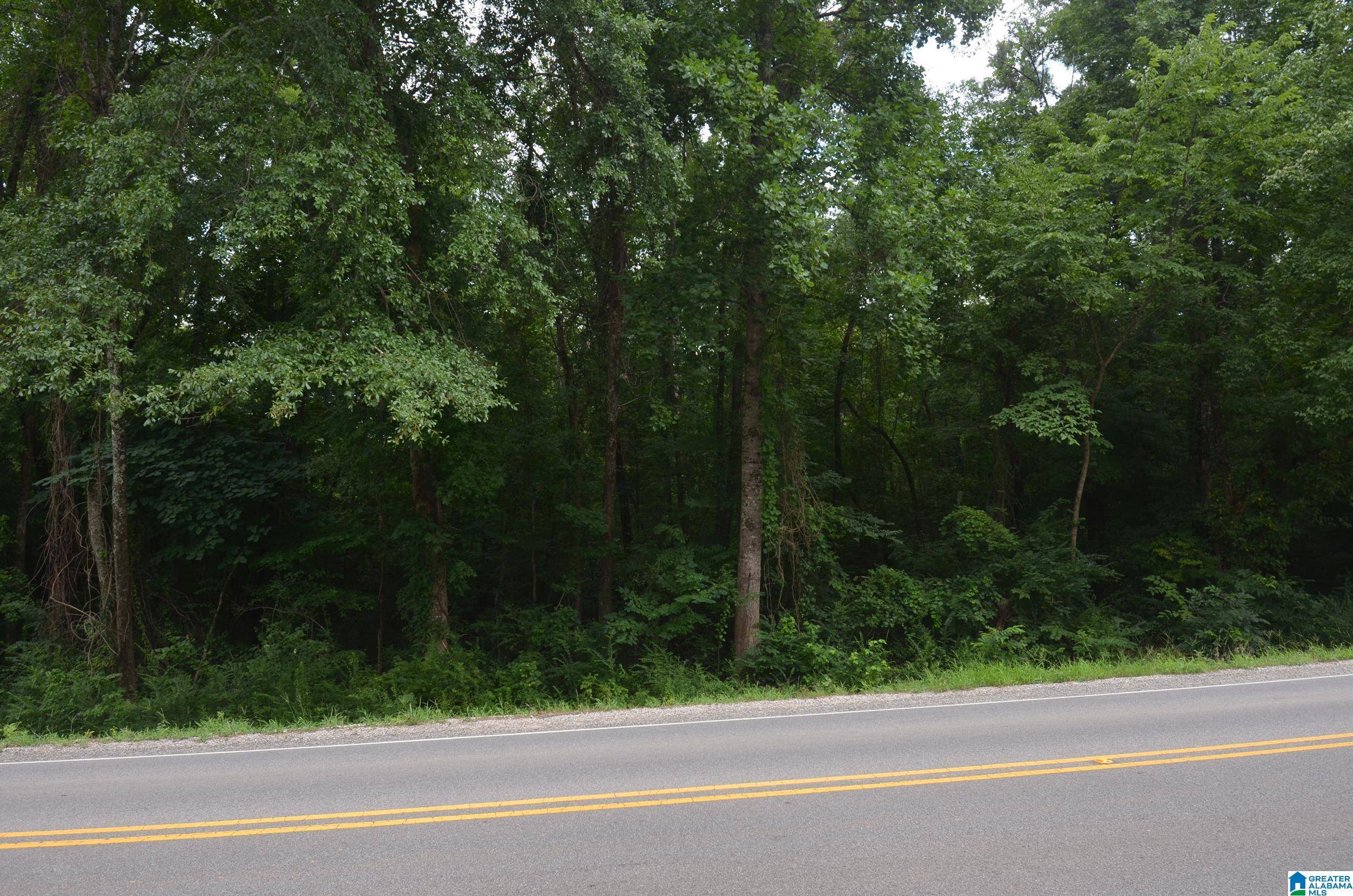 Jacksonville, AL 36265,0 ALEXANDRIA JACKSONVILLE HIGHWAY #8