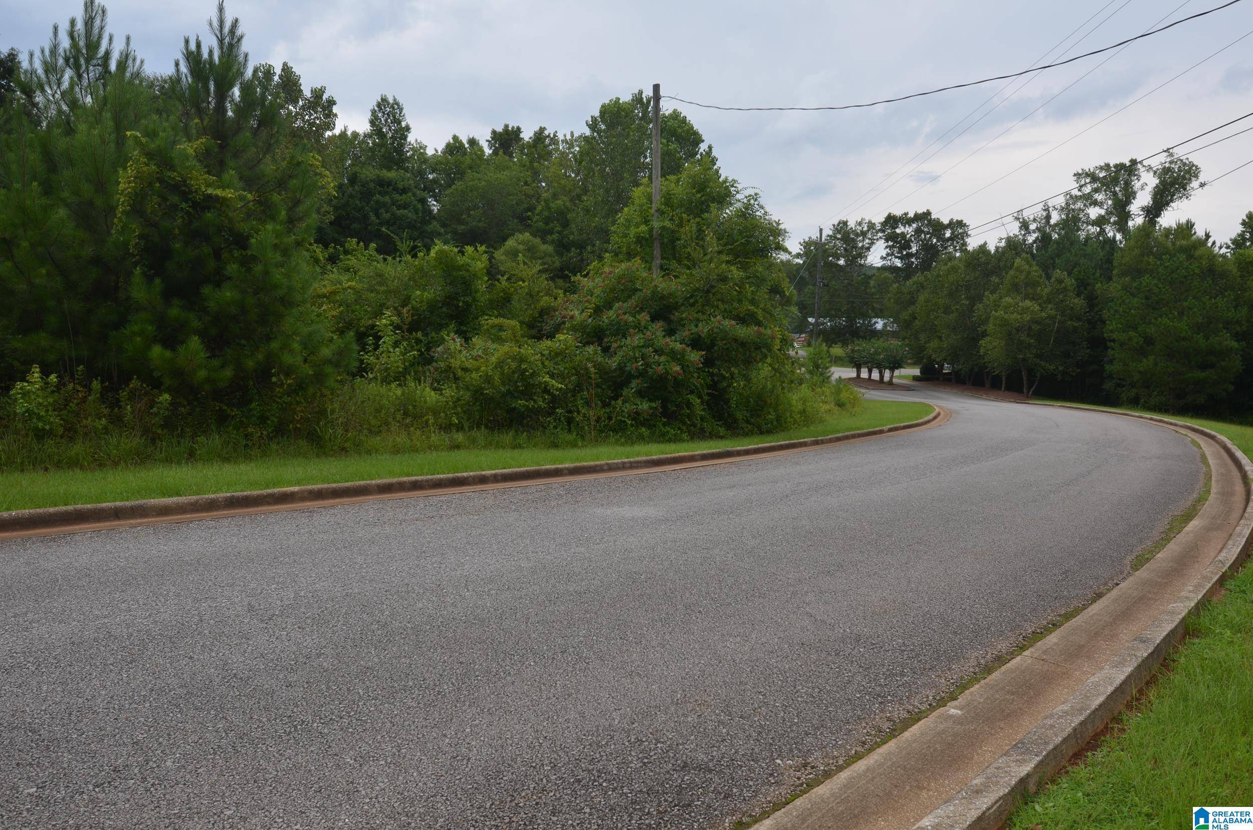 Jacksonville, AL 36265,52 WATERFORD WAY #1
