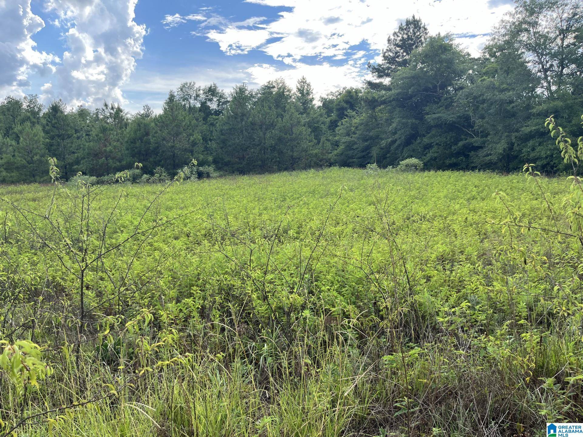 Prattville, AL 36067,COUNTY ROAD 43 #NONE