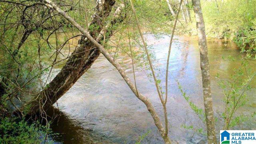 Anniston, AL 36207,30 Acres HIGHWAY 9 #30 Acres