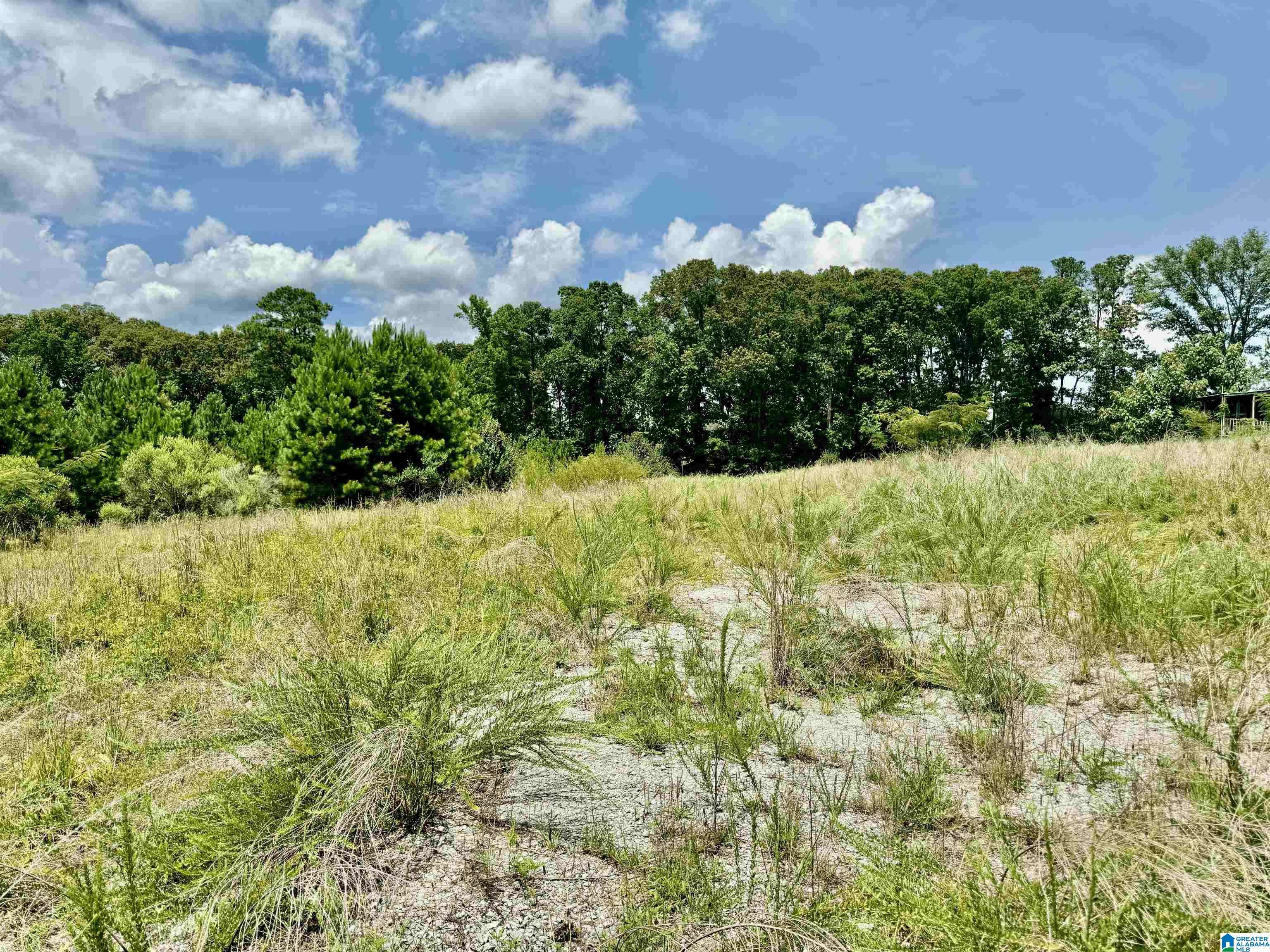 Anniston, AL 36201,5739 HIGHWAY 202