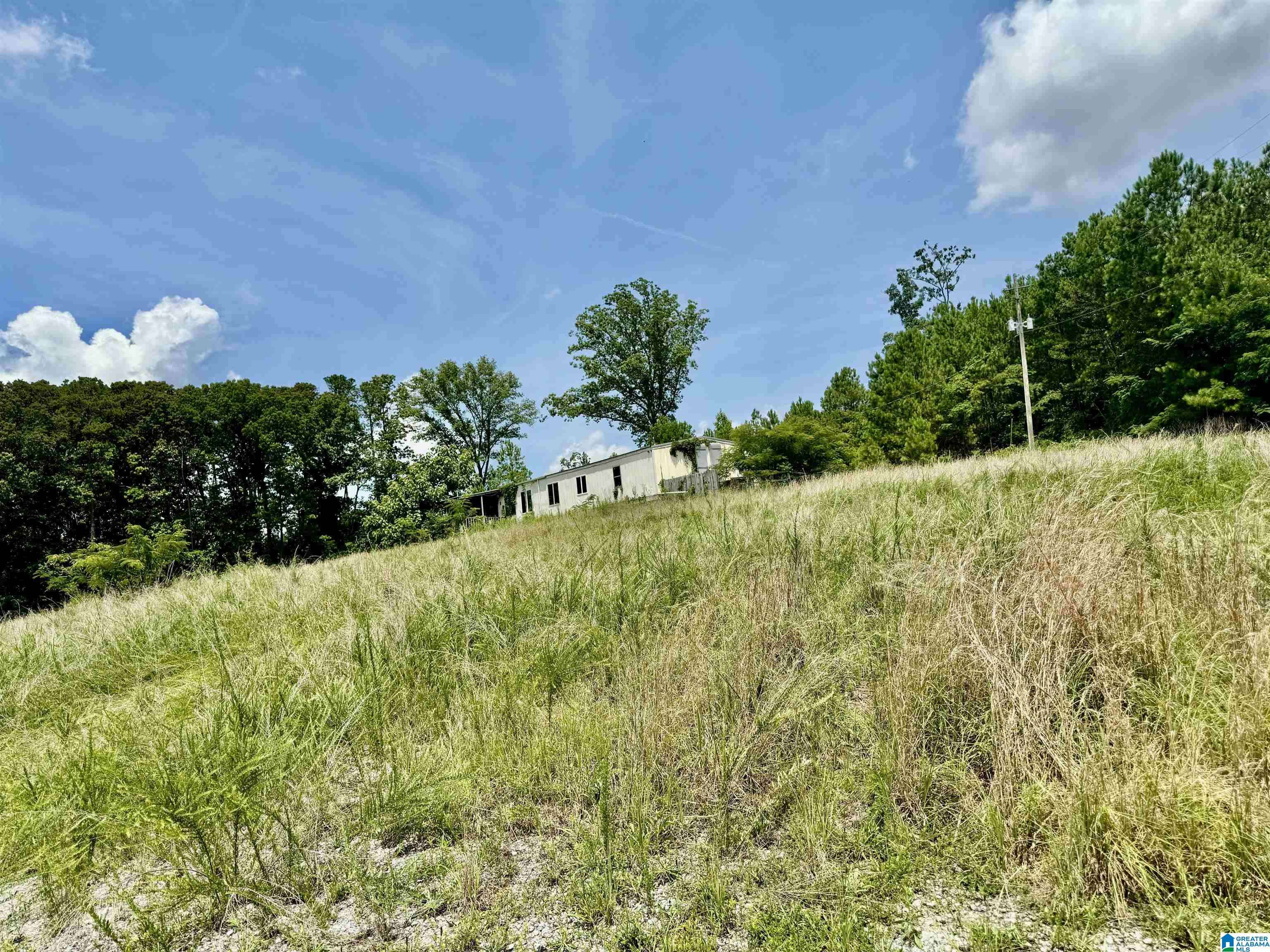 Anniston, AL 36201,5739 HIGHWAY 202 #0