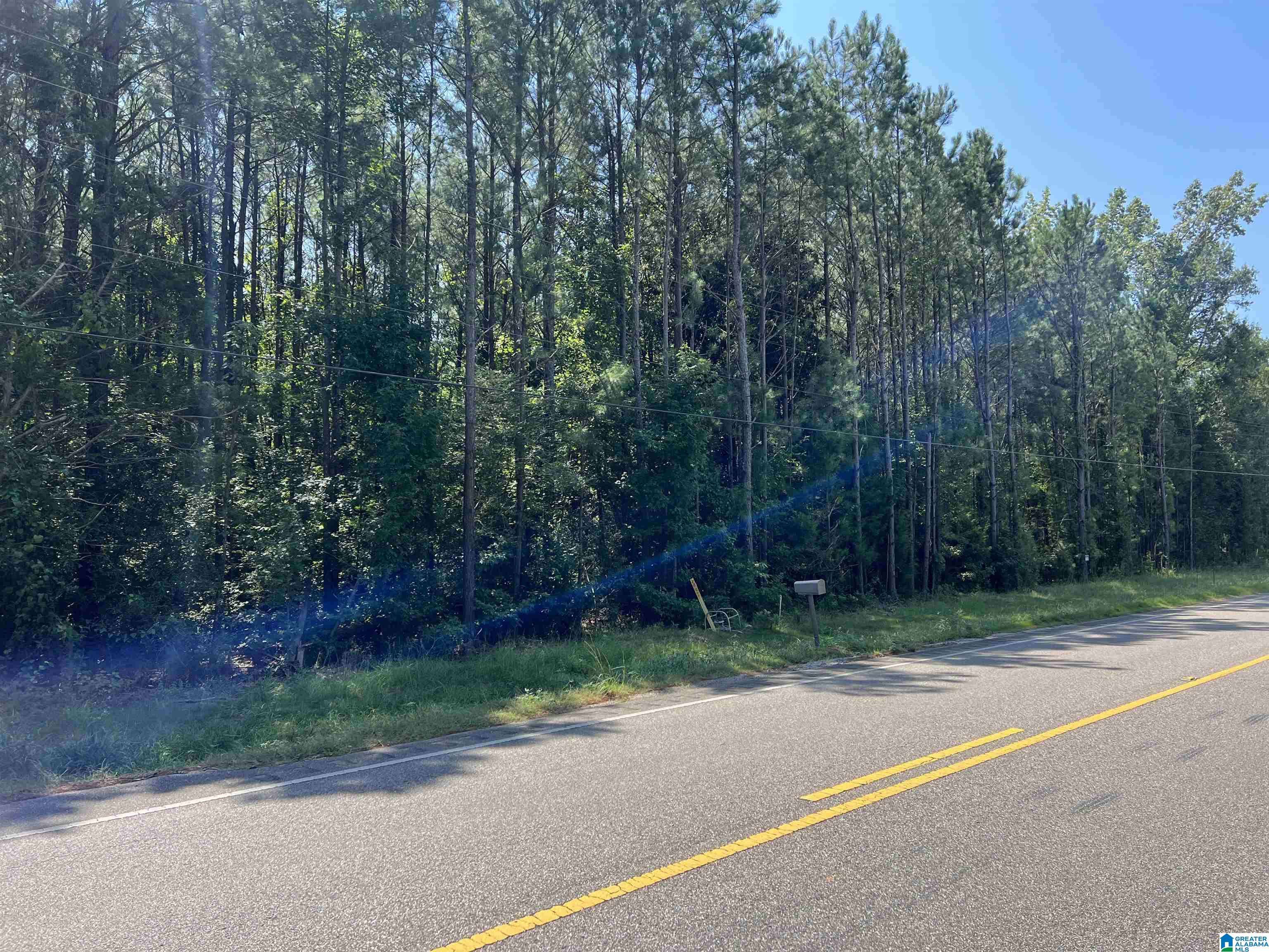 Stanton, AL 36790,4440 HIGHWAY 22 #n/a