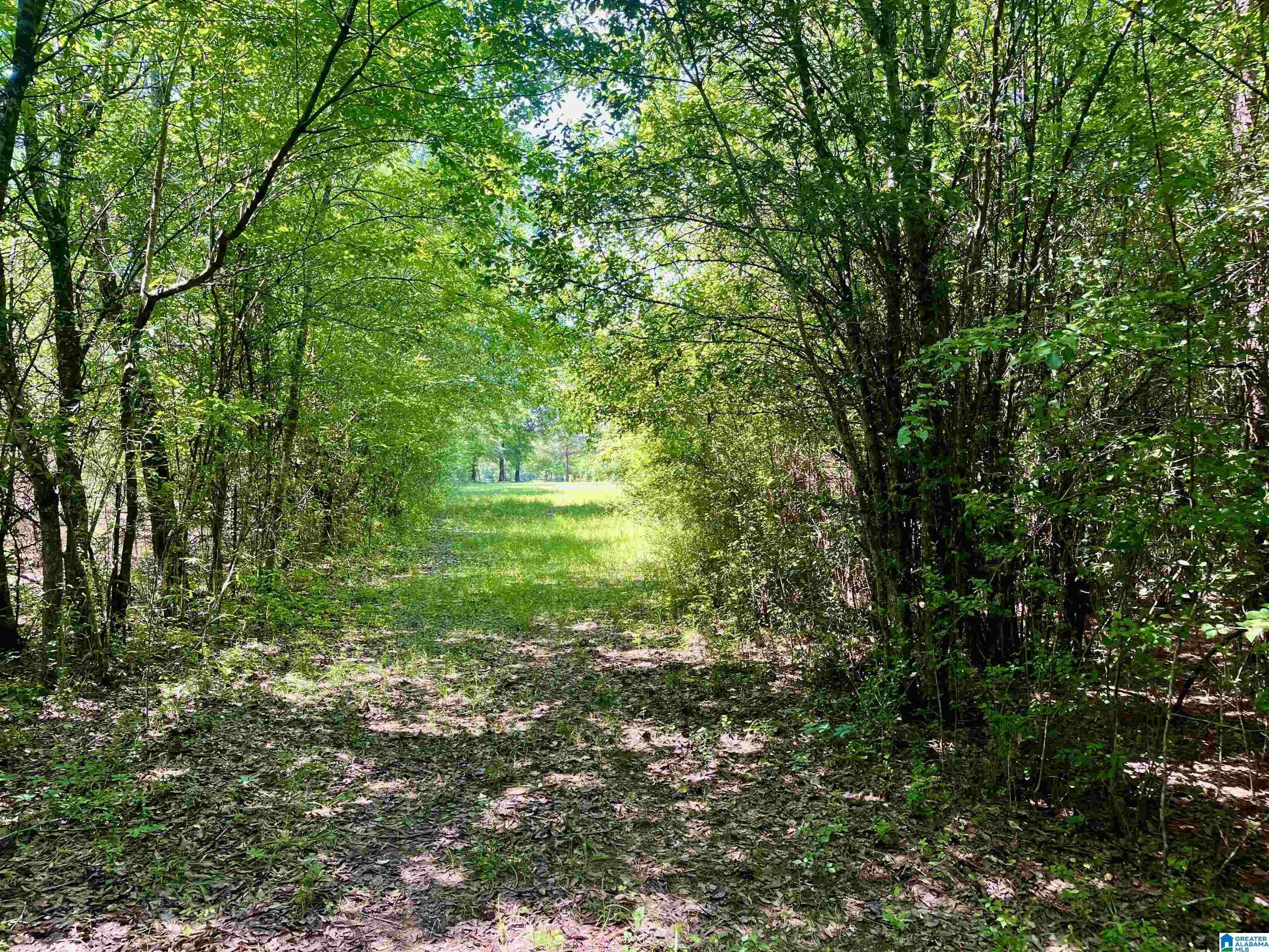 Harpersville, AL 35078,0001 LARKIN LANE #1